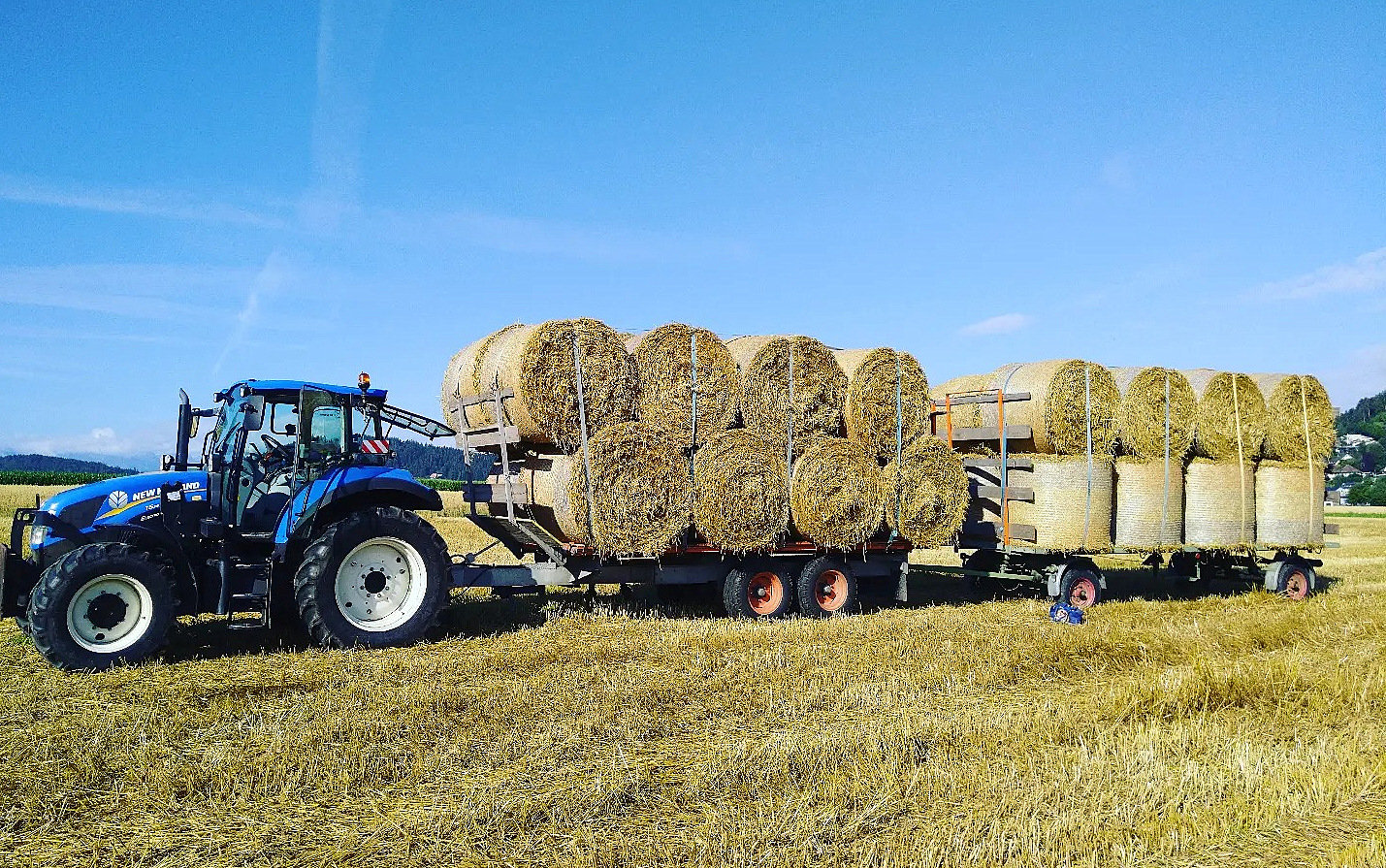 Hay is made on the farm to feed the cows in the winter time