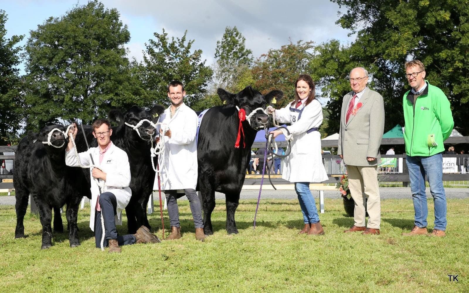 The Aldi Irish Angus Tréad Na hEireann Final won by Noel and Lisa Dowd from Co. Galway