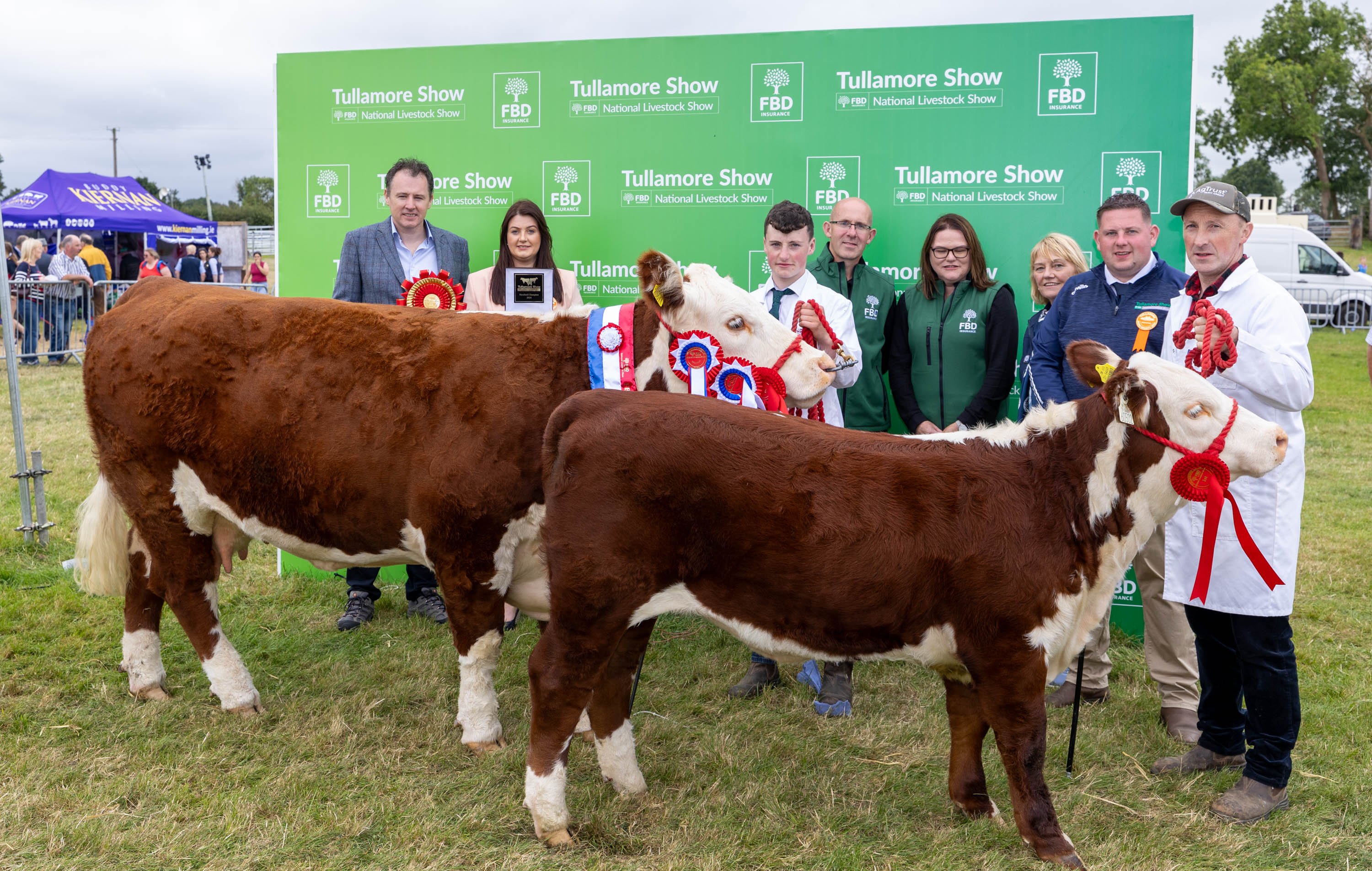 The Champion Hereford owned by Jack Larkin from Tullamore, Co. Offaly, pictured with Minister for Agriculture, Food and the Marine Charlie McConalogue and representatives from Tullamore Show and FBD.Source: Alf Harvey
