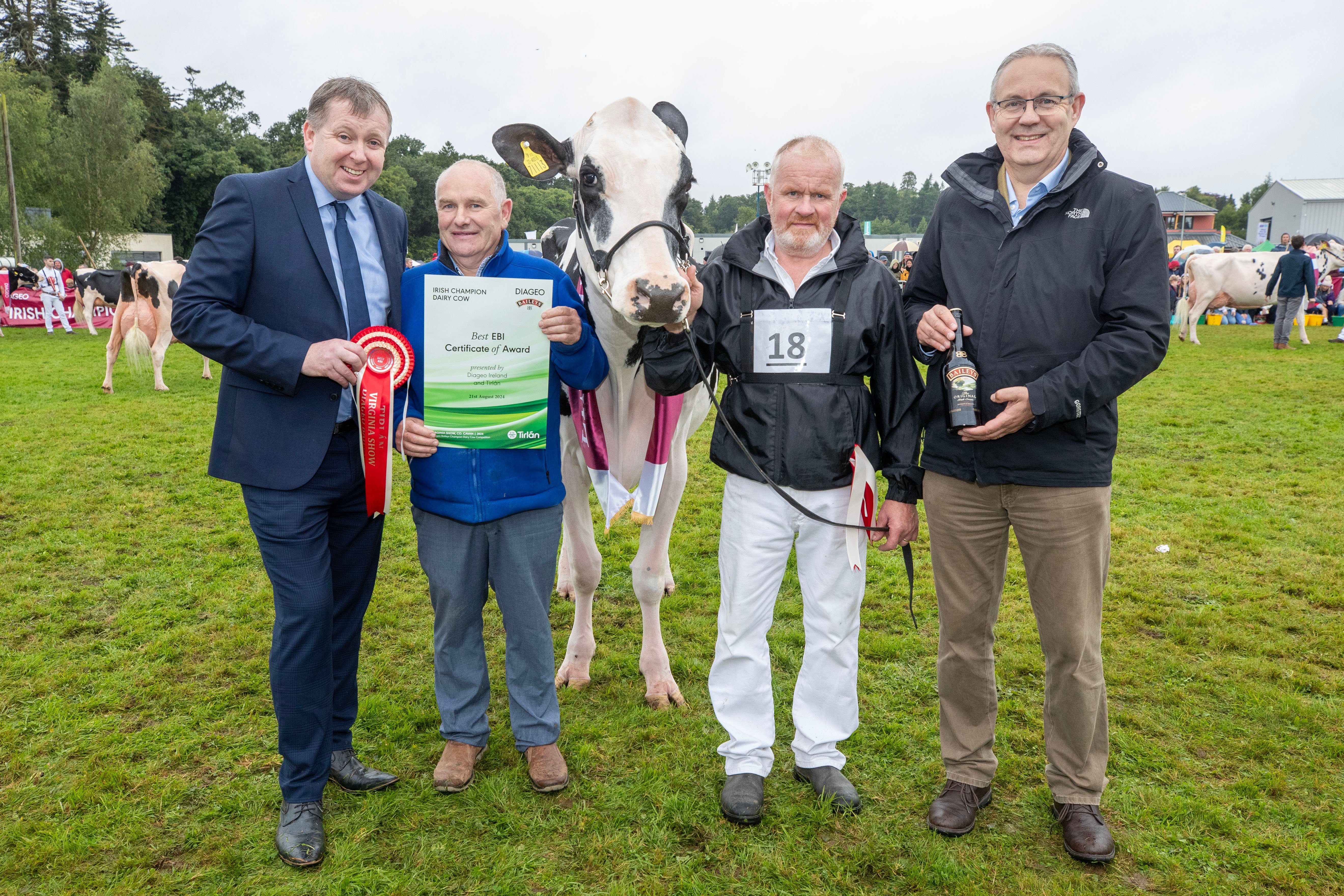 Winner of the best EBI (Economic Breeding Index) award at the Diageo Baileys Champion Cow competition held at the Virginia Show, was Martin O'Sullivan from Limerick with 'Desmond Radio Rozelle.' He is pictured with Anthony Farrelly, Tirlàn, Handler Denis O'Neill and Paul McMahon, Baileys Operations at Diageo.
Picture:  Finbarr O'Rourke