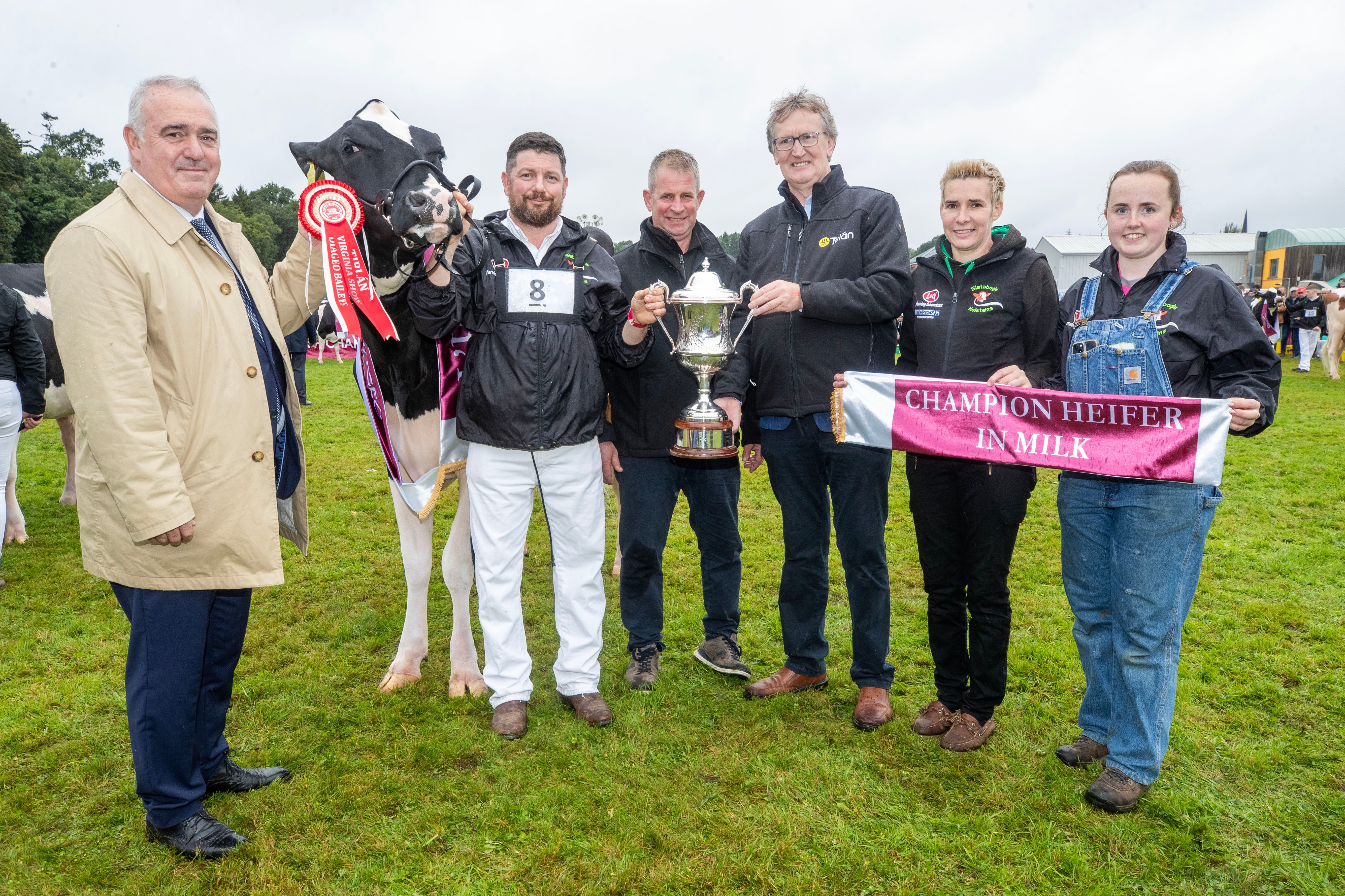 Winner of the 2024 Diageo Baileys Champion 'Heifer in Milk' category at the Virginia Show was 'Slatabogie Lambda Gold'. Pictured are Robert Murphy, Head of Baileys Operations at Diageo, Handler Steve McLoughlin, Owner Alan Paul, John Murphy, Chairperson Tirlàn, Leanne Paul and Rachel Corley.Picture:  Finbarr O'Rourke