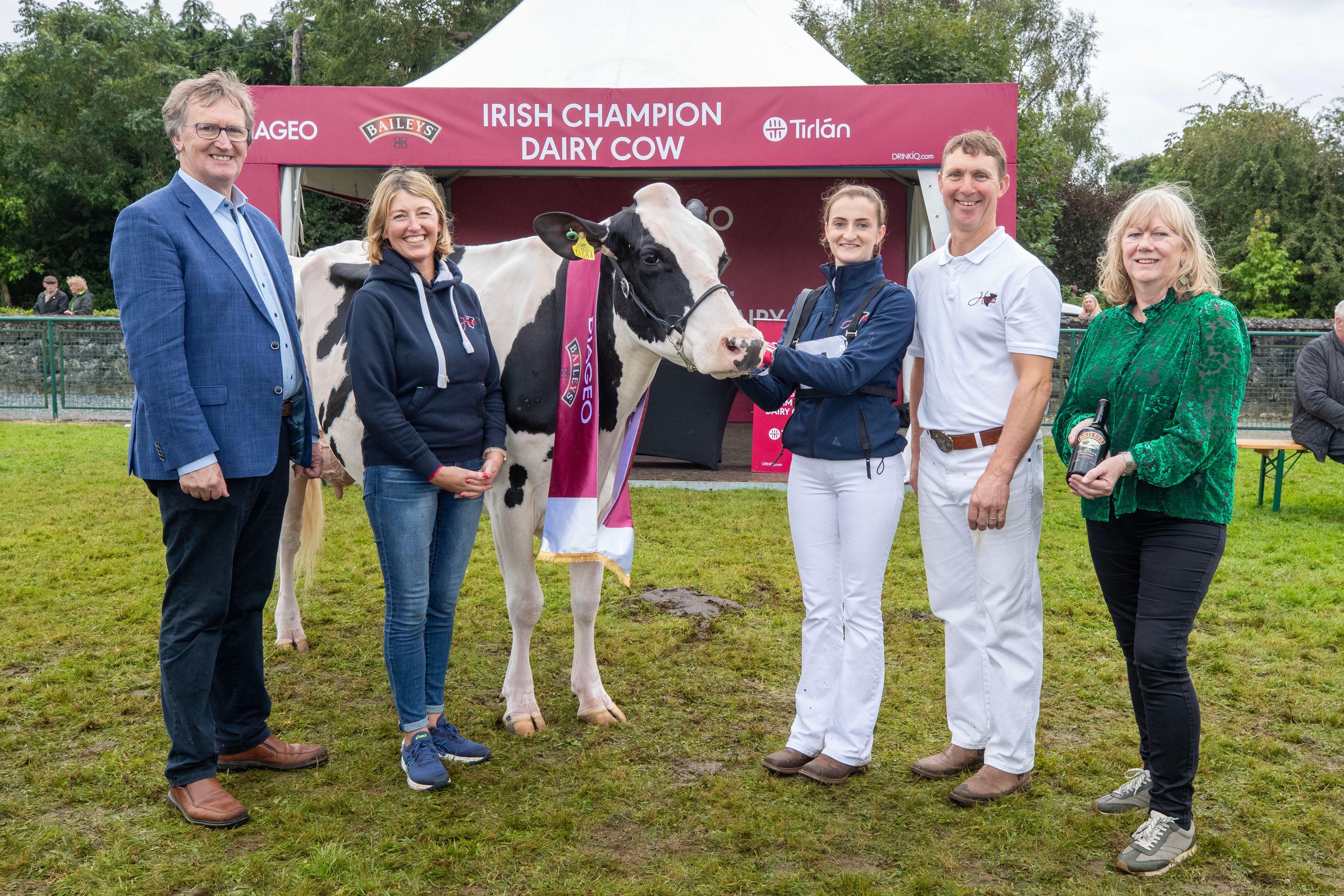 Honourable Mention at the 2024 Diageo Baileys Champion Cow competition went to Linda Jones, Andrea Rafferty and Philip Jones with 'Hallow Octain Twizzle'. Pictured with them at the Virginia Show are John Murphy, Chairperson Tirlàn and Marie Timmons, Baileys Operations at Diageo.Picture:  Finbarr O'Rourke