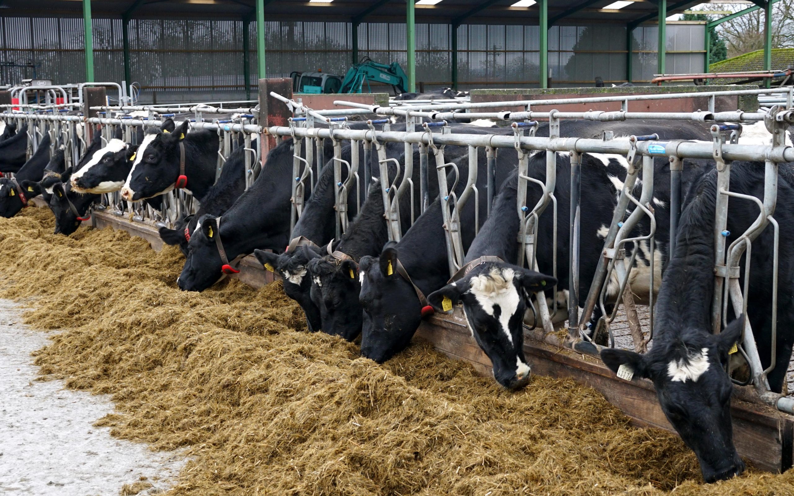 Management of feeding is said to benefit from the new service