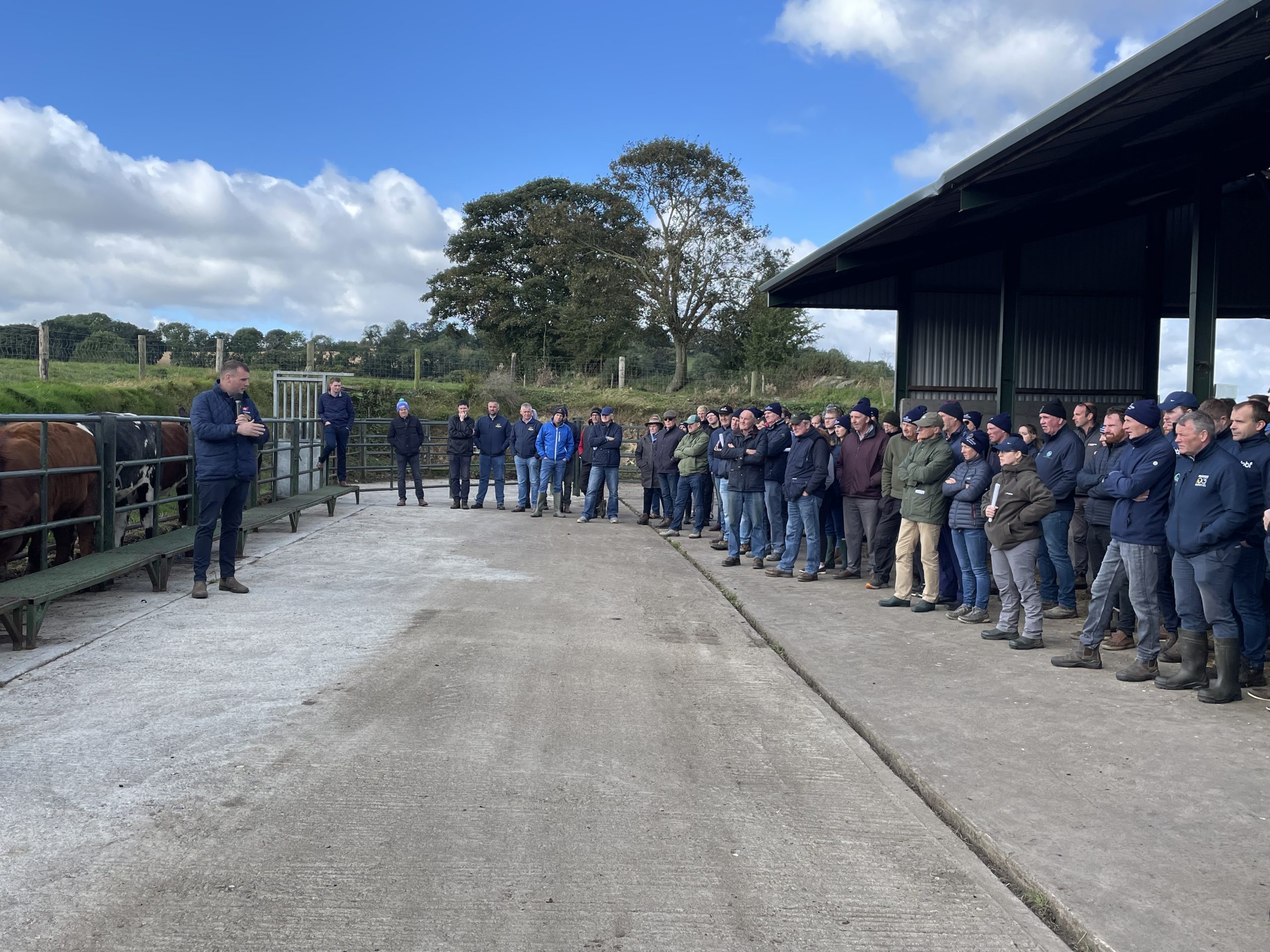 ABP's James Hickey offering farmers advice on drafting cattle for slaughter at the ABP Demo Farm open day