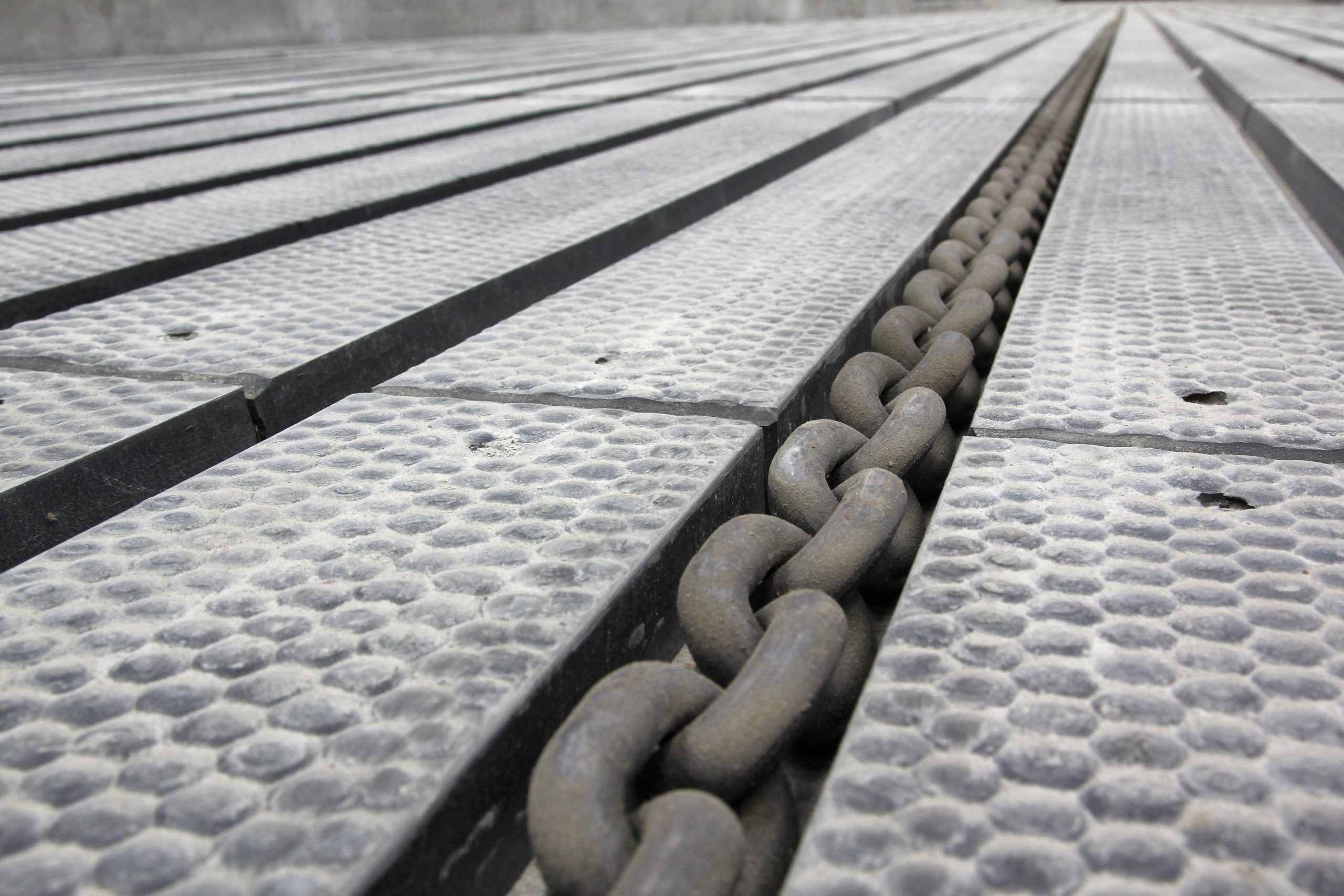 Low emission flooring is used within the Dairy Centre at CAFRE, Greenmount Campus. Image source: CAFRE