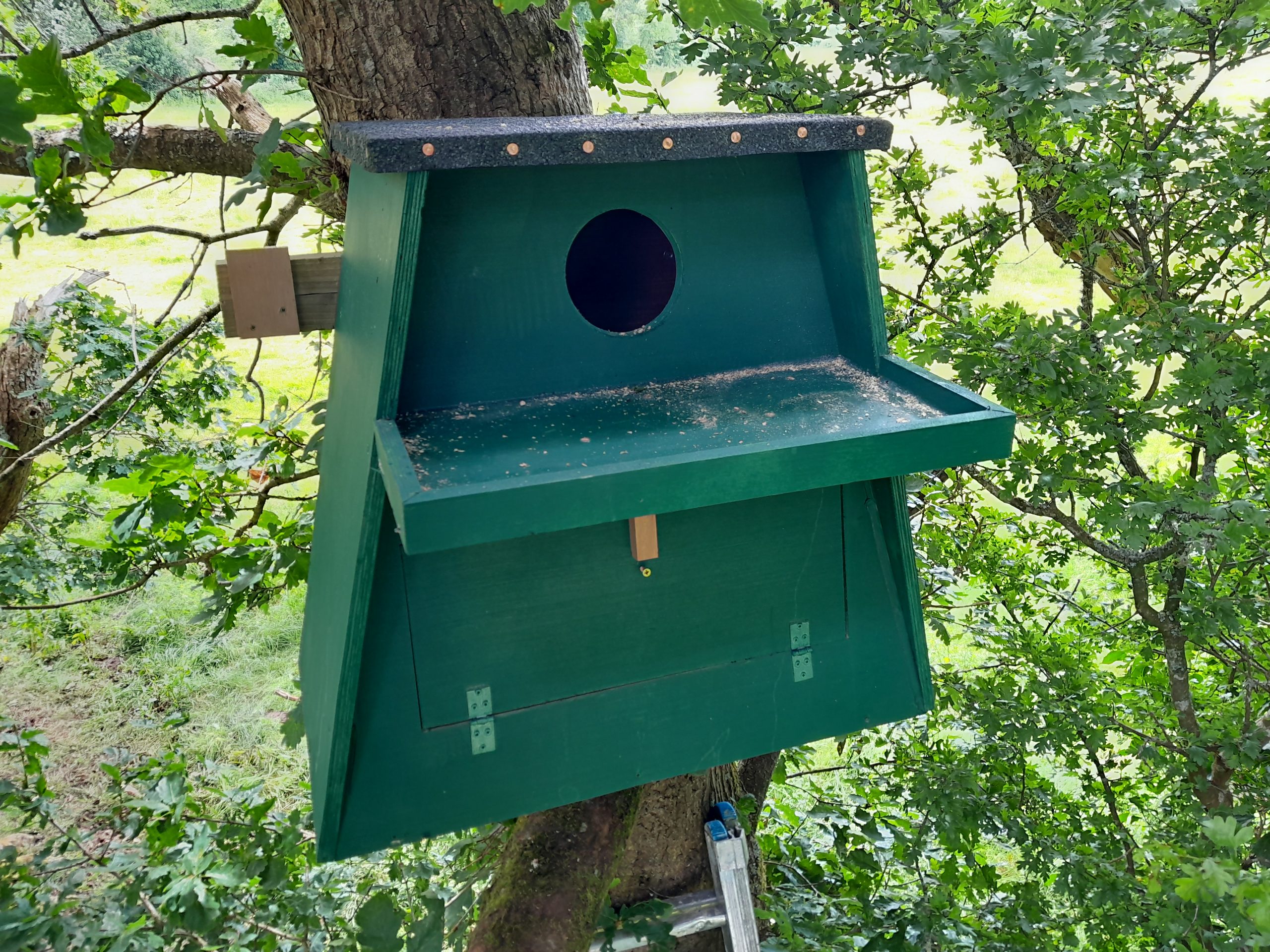 Barn owl nest box. Source: Alan McCarthy
