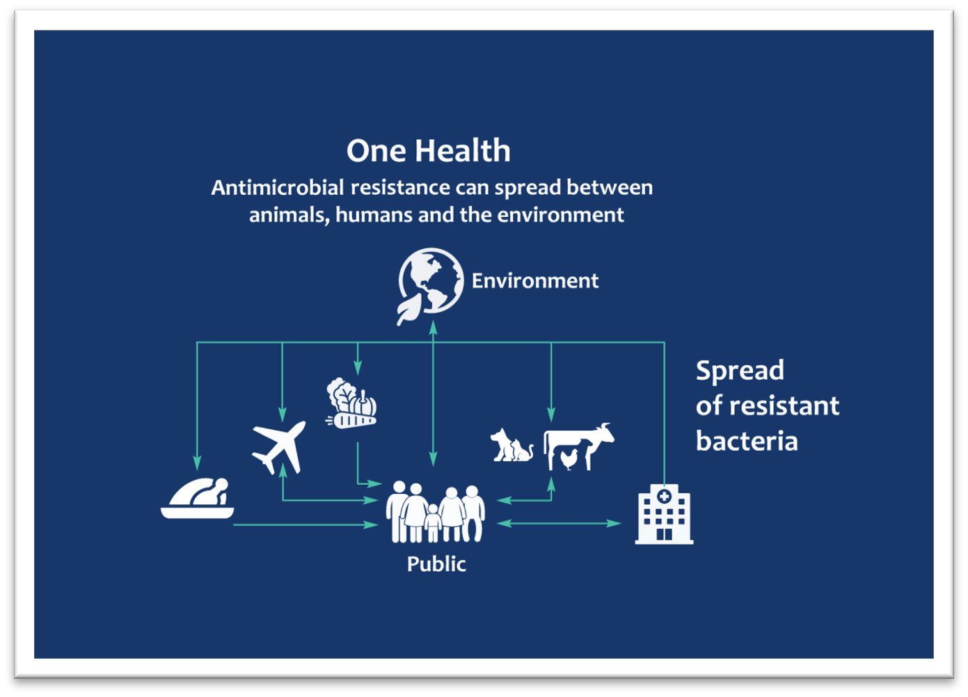Source: Department of Agriculture, Food and the Marine
