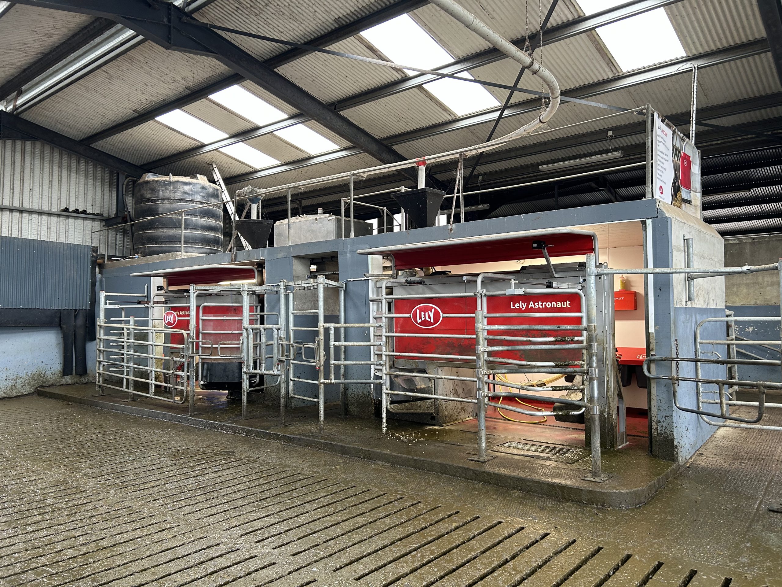 Williams' two Lely A5 Astronaut robots