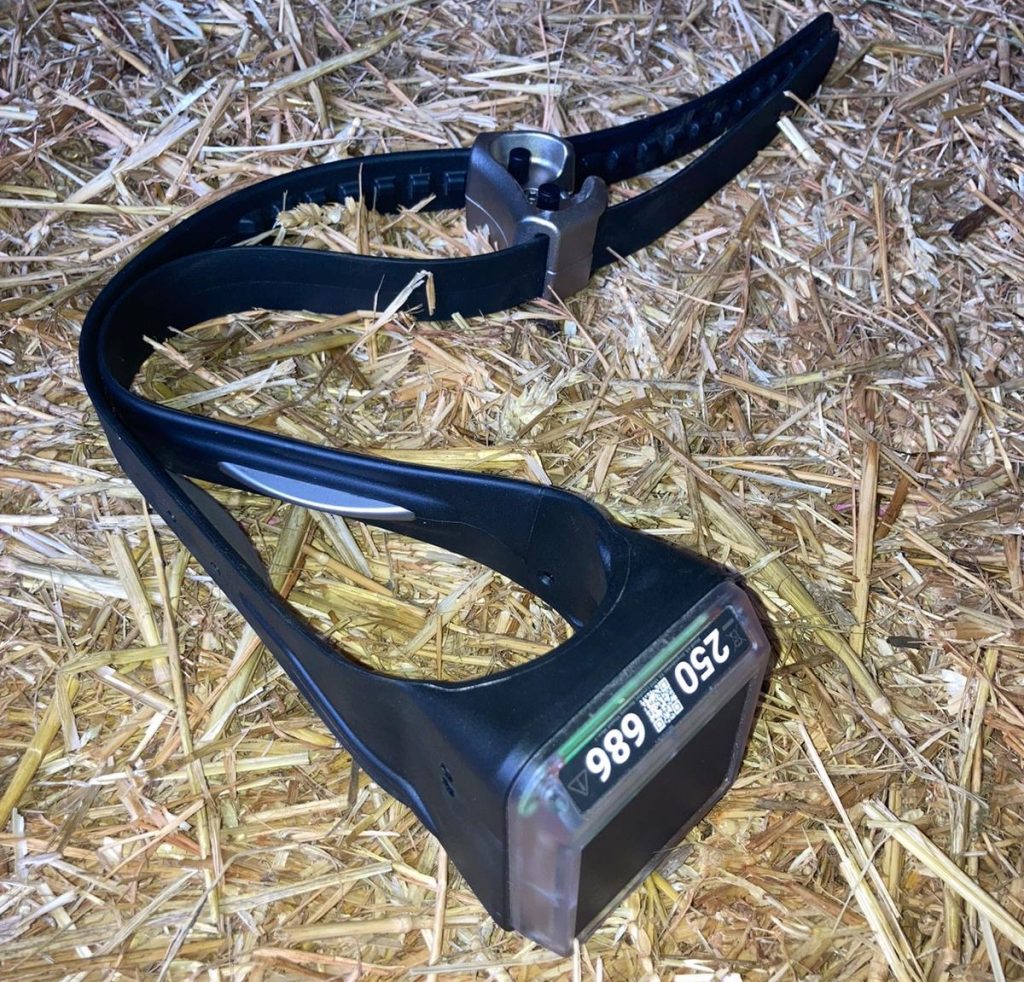 Virtual fencing collars used on the farm