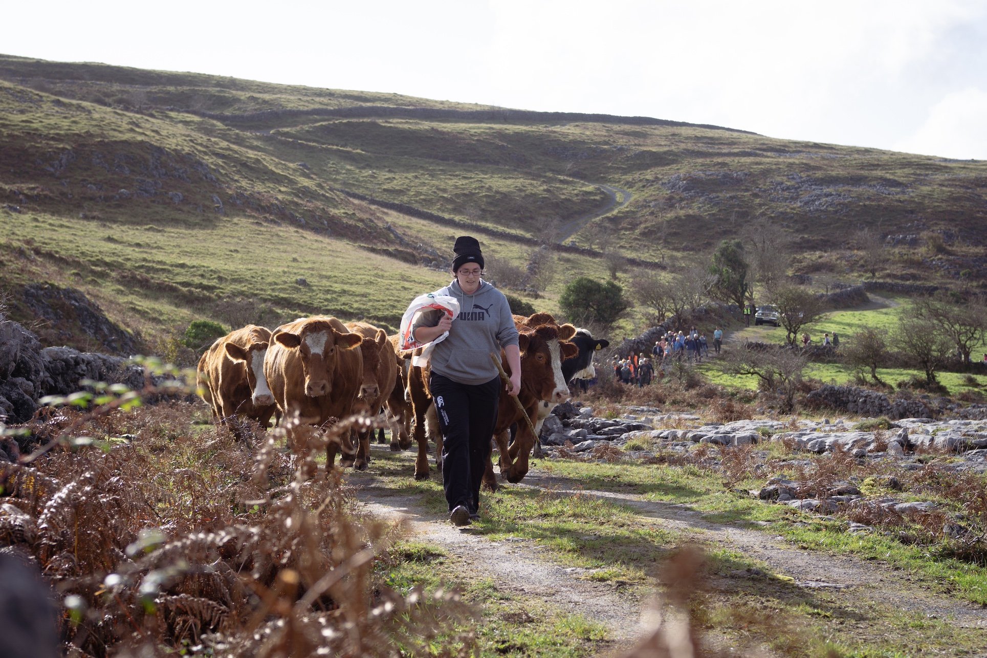 Source: Donal Hogan for Burrenbeo Trust