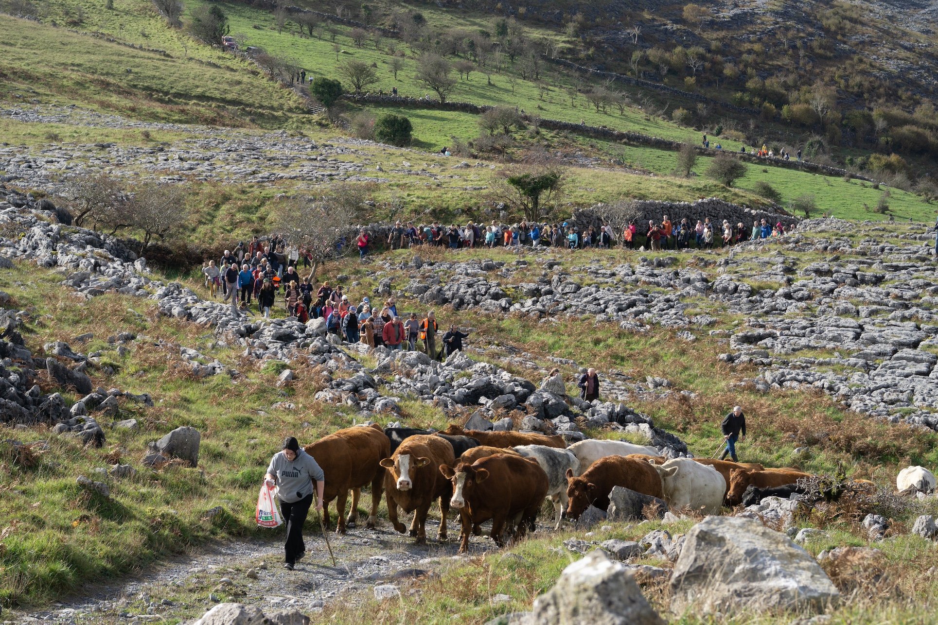 Source: Donal Hogan for Burrenbeo Trust
