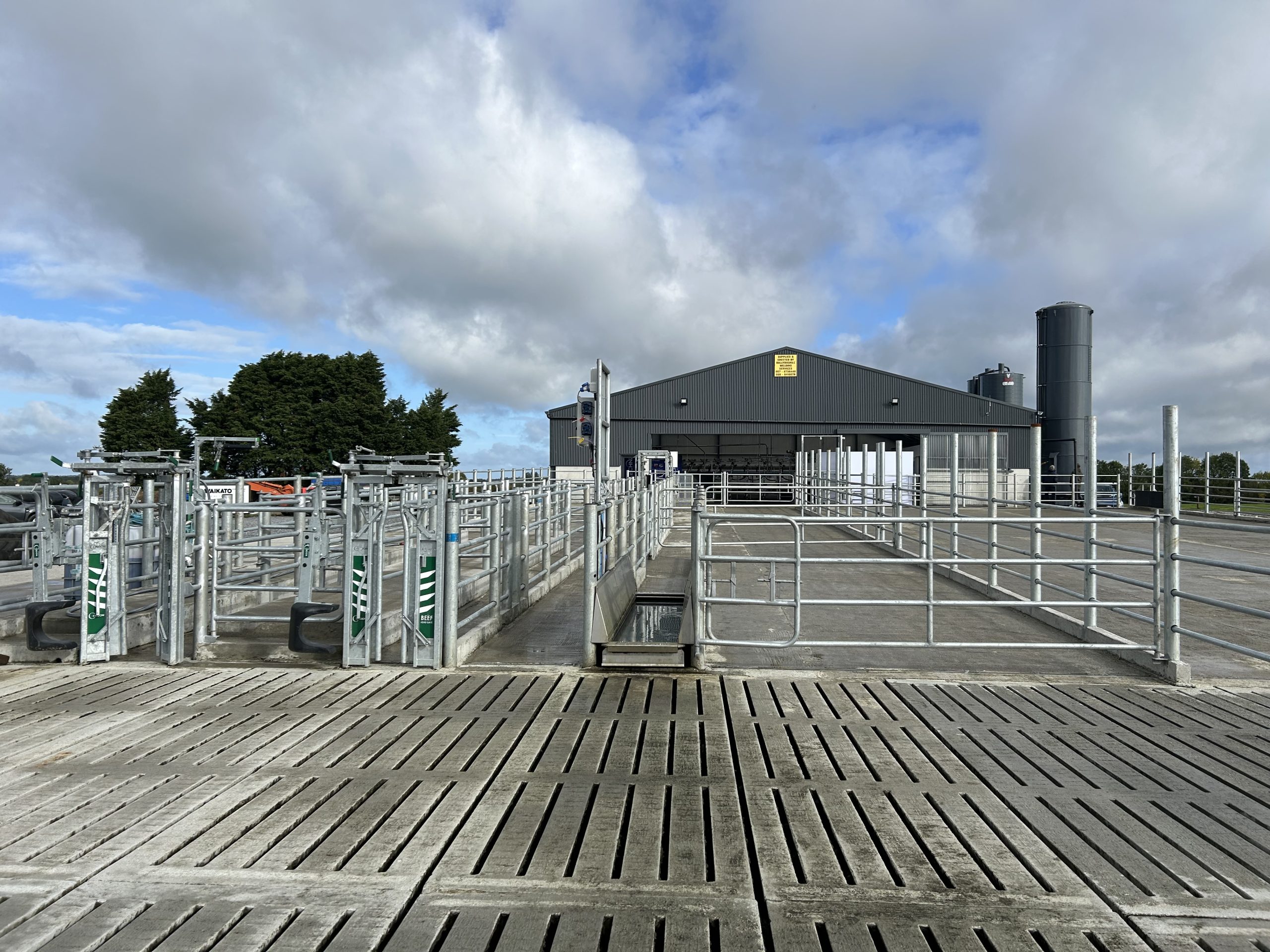 Cody's gathering yard, crush, drafter and footbath allowing for optimal cow flow