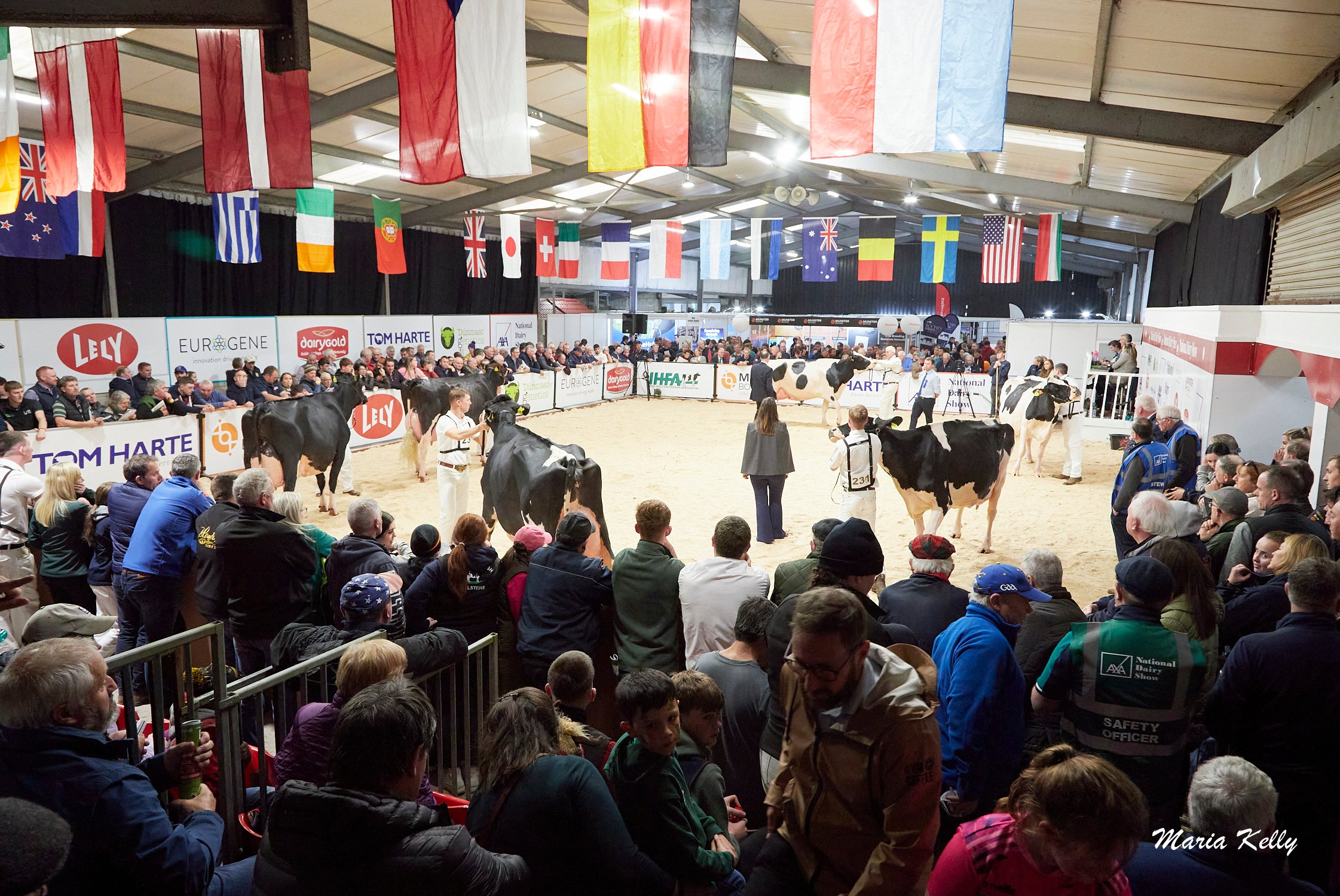 Crowds at the National Dairy Show last year. Source: Maria Kelly