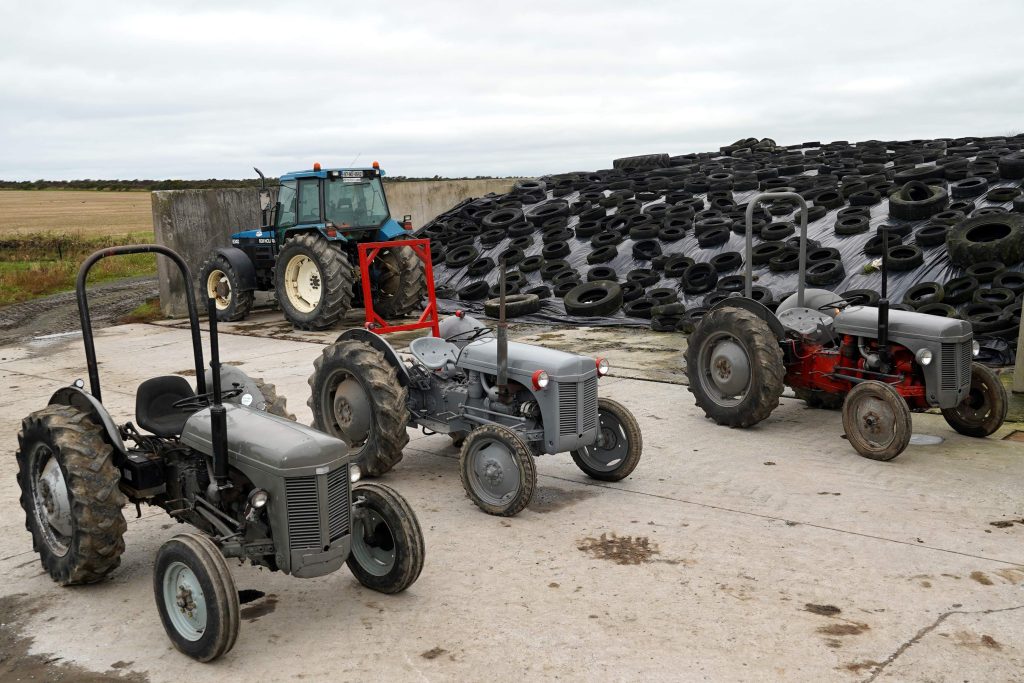 Diesel Ferguson TE 20s feature strongly in the sale