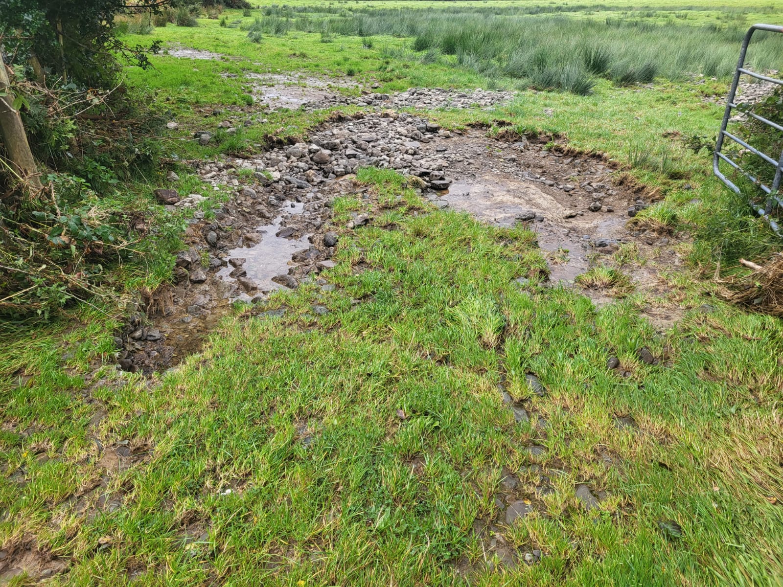 Damage caused by flooding. Image Source: Helen O'Sullivan