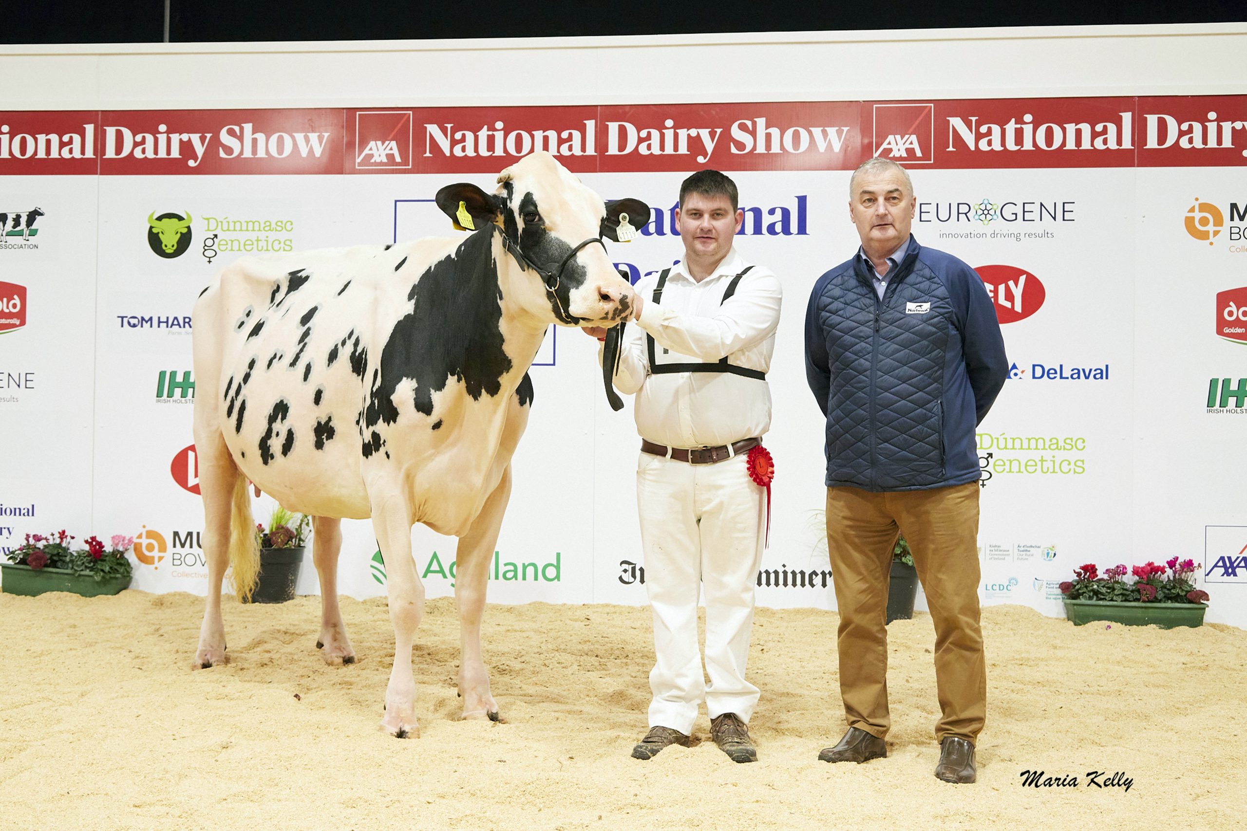L-R: winner Desmond Denver Ruby exhibited by Desmond Holsteins, Paul Murphy (handler), Michael O’ Connor, Norbrook (sponsor).Photo: Maria Kelly