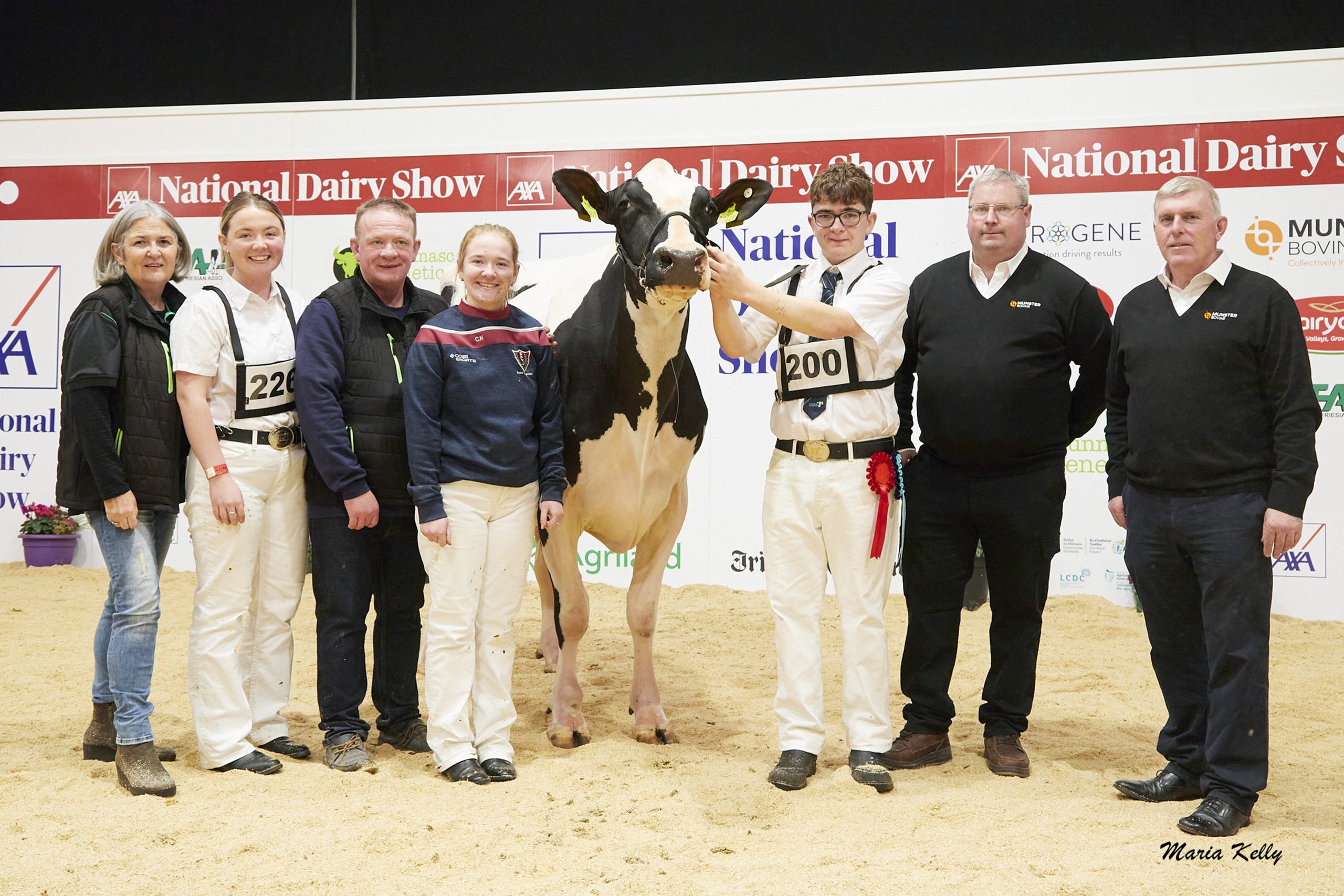 Lisnalty Inka Ideal 609 exhibited by Paul Hannan, Eileen, Jane, Paul and Clare Hannan, Bill Hannan (handler), James Egan &amp; Tom Baker Munster Bovine (sponsor). Photo: Maria Kelly