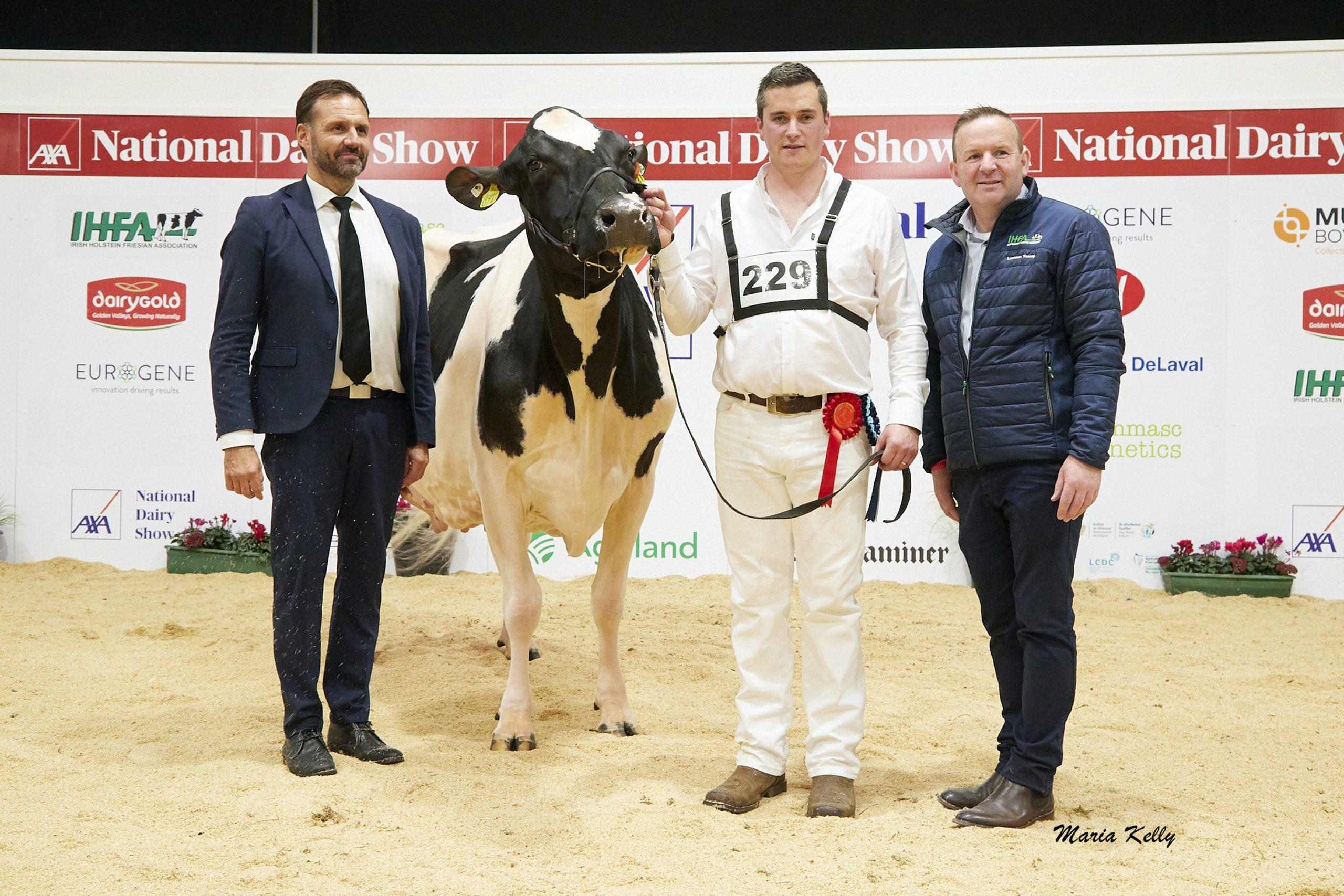 Greenlea MG Rhapsody exhibited by Padraic &amp; Brendan Greenan, Judge Niels Erik Haahr, Brendan Greenan (handler), Laurence Feeney, IHFA (sponsor).  Photo: Maria Kelly.