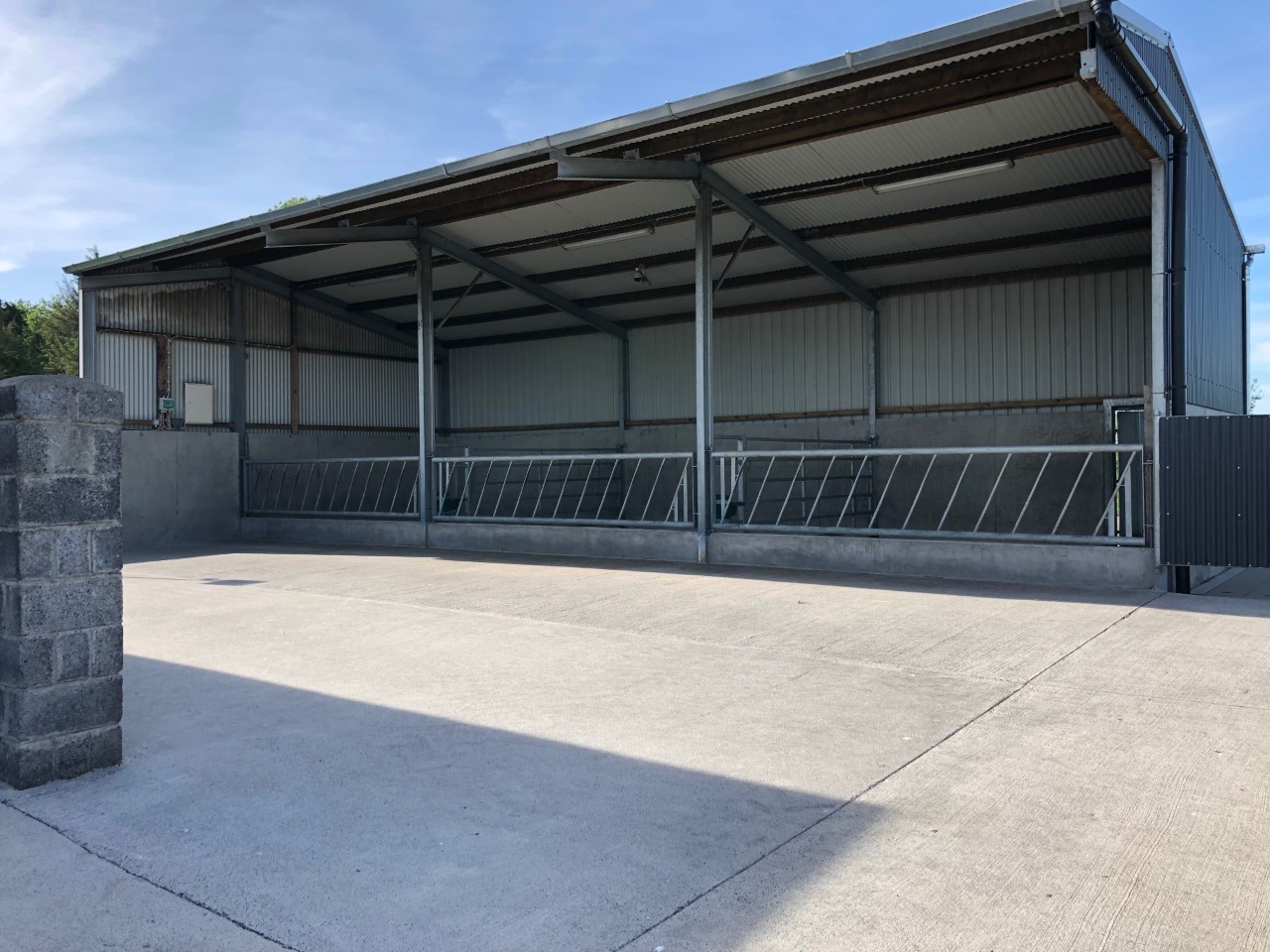 Well-positioned, open-fronted sheds provide great air movement for cattle