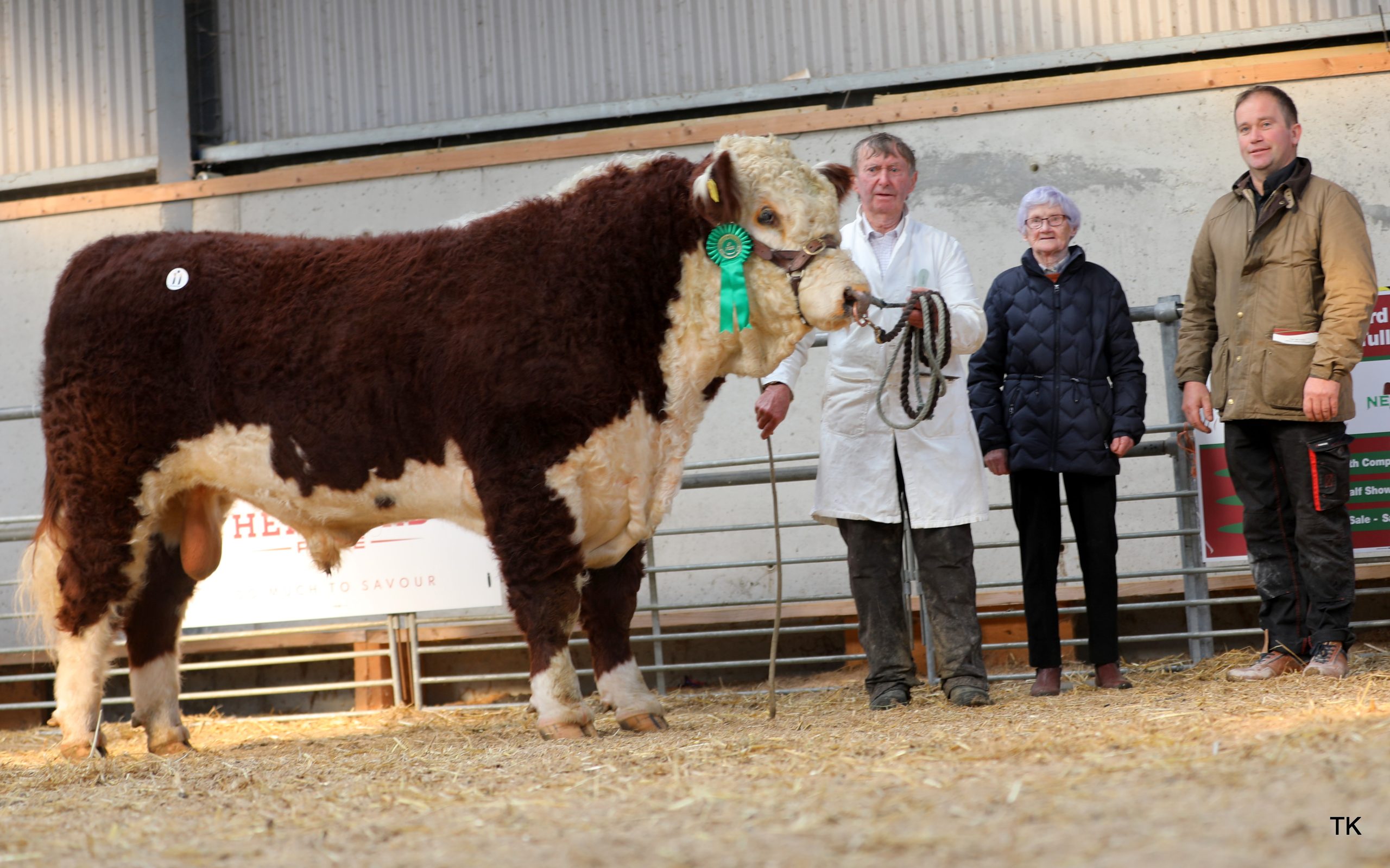 Beaghmore Hansel 3 sold for €4,500