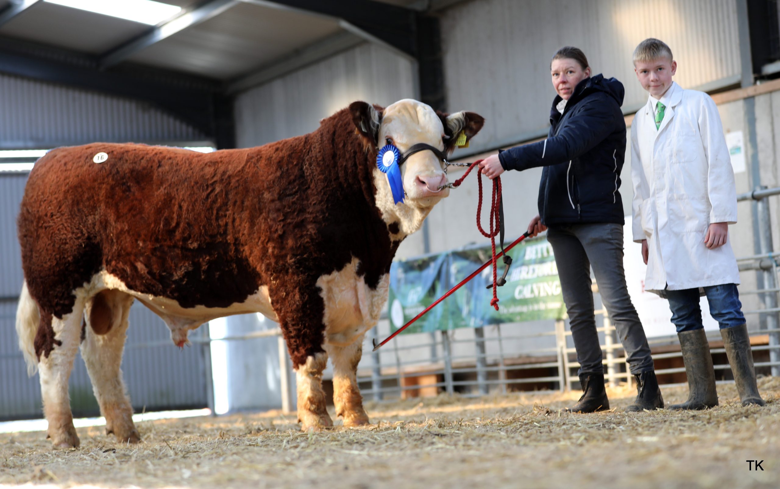 Appel 1 Sam sold for €4,600