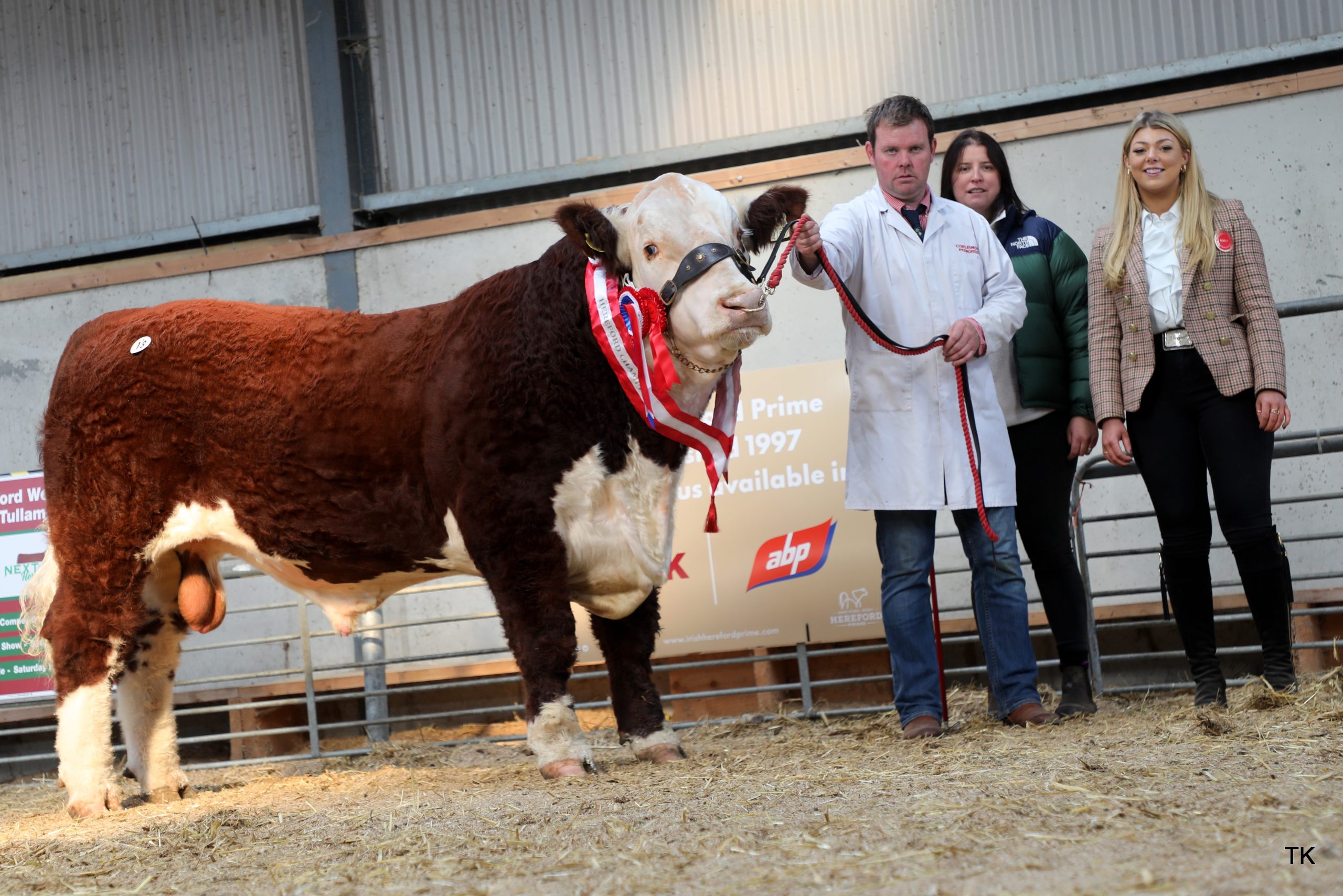 Corlismorepoll 1 Fantastic 237 sold for €4,500