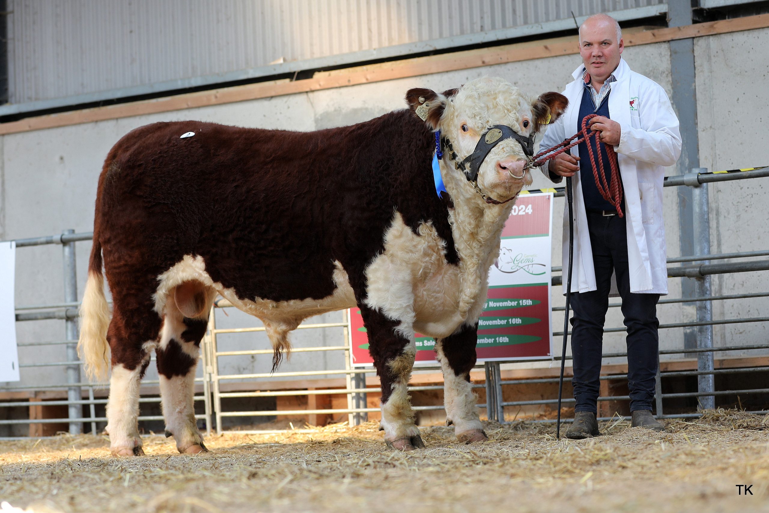 Michael Molloy’s, Moyclare Workman sold for €5,700