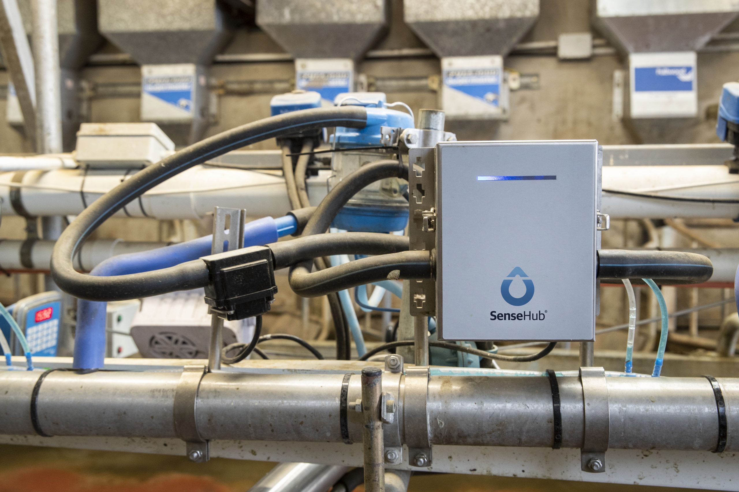 SenseHub Inline Somatic Cell Count (SCC) Sensor