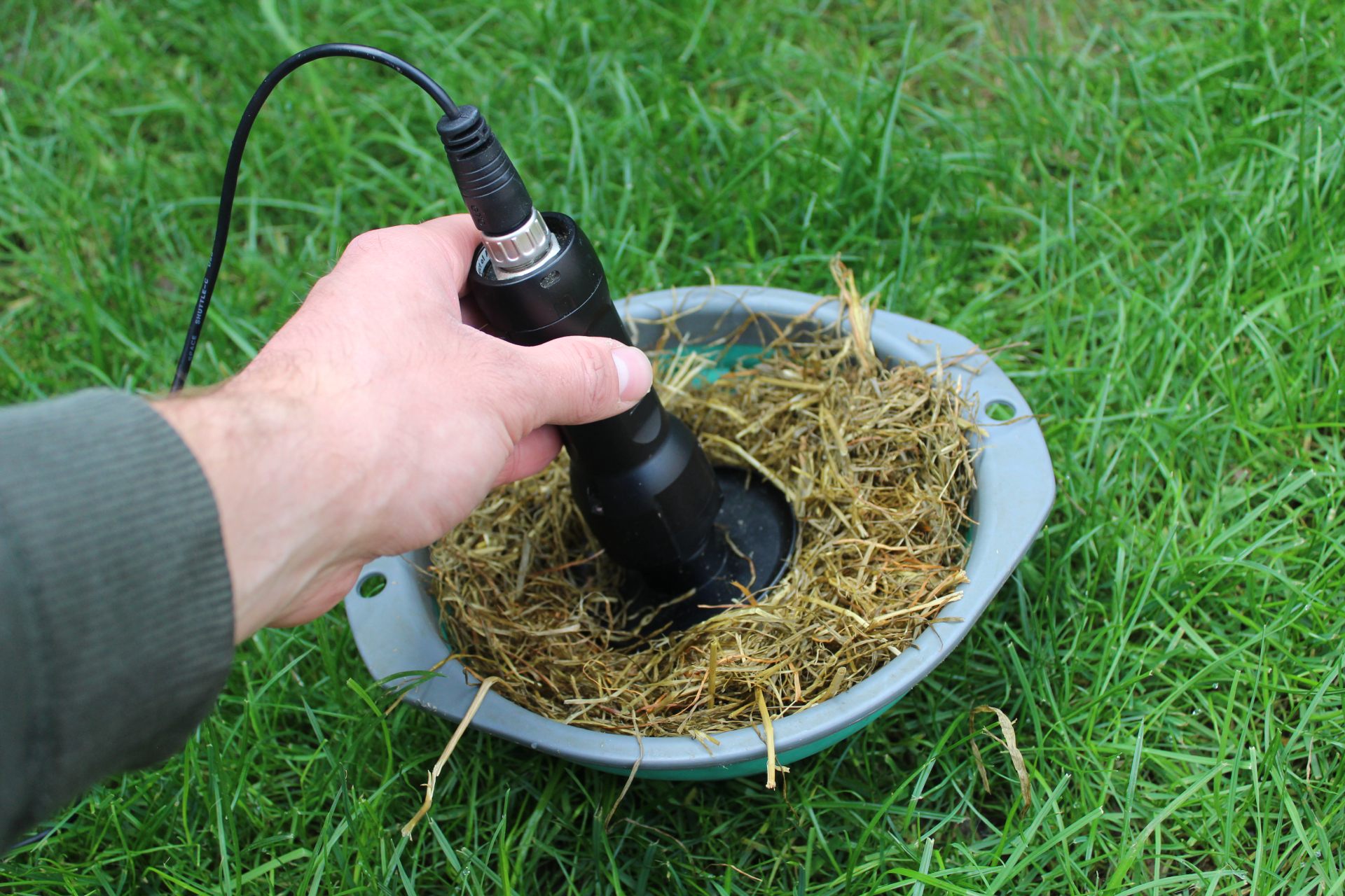 Completing a silage analysis will provide the best information on the levels of supplementation required for your stock this housing period