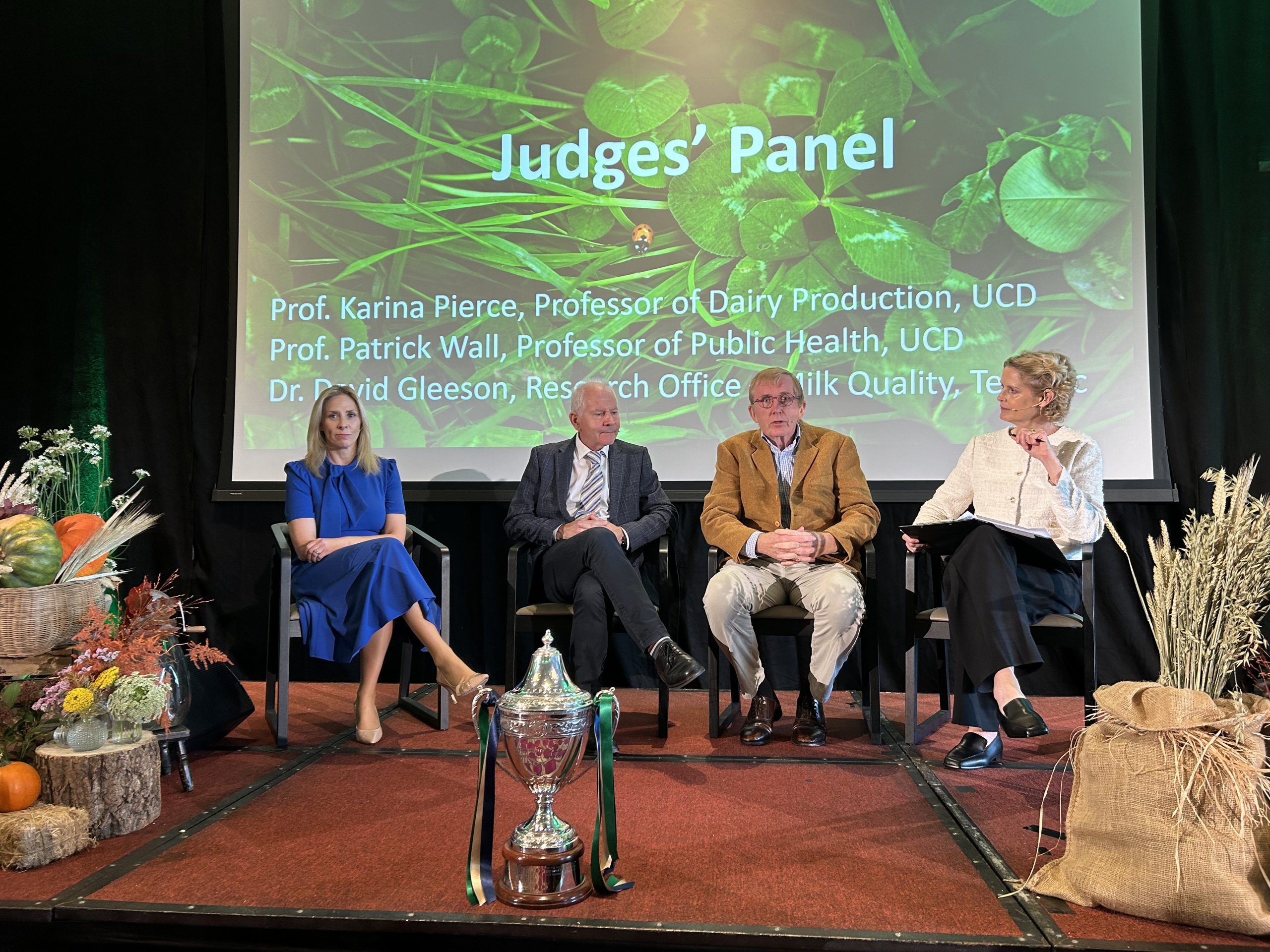 The judges panel of prof. Karina Pierce, Dr. David Gleeson and prof. Patrick Wall