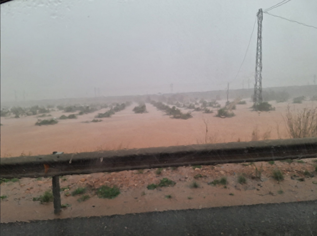 Flooding on Spanish farmland. Source: Ava-Asaja