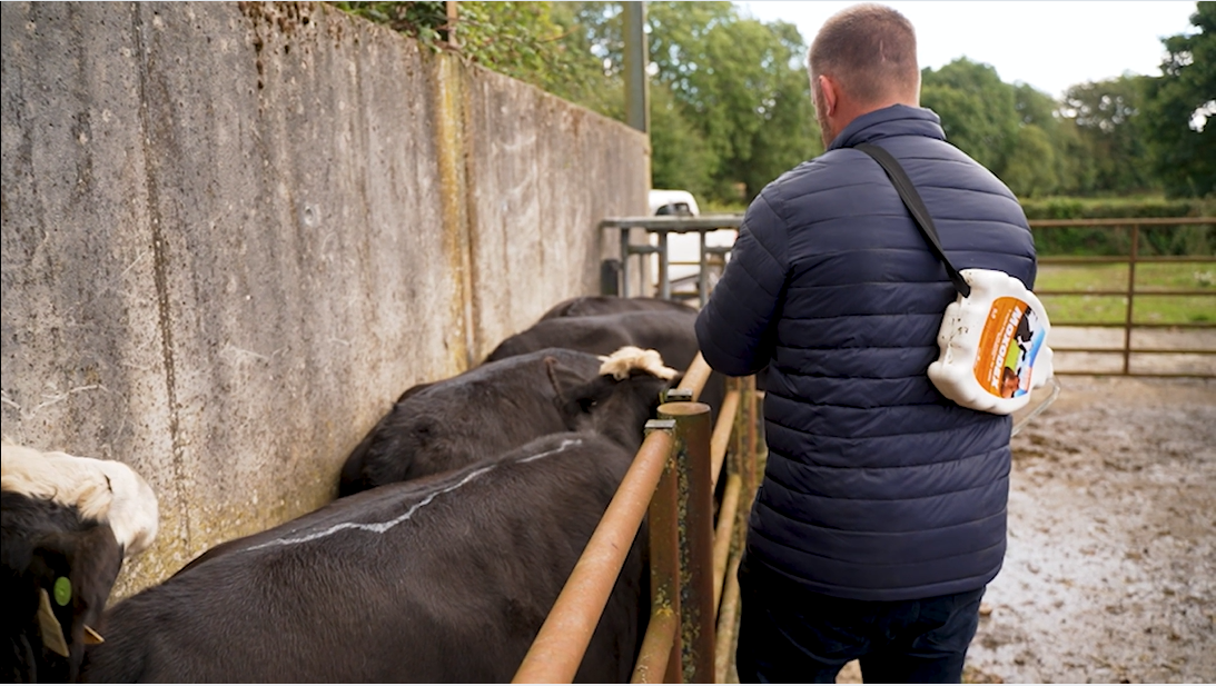 O'Brien applying Moxodex