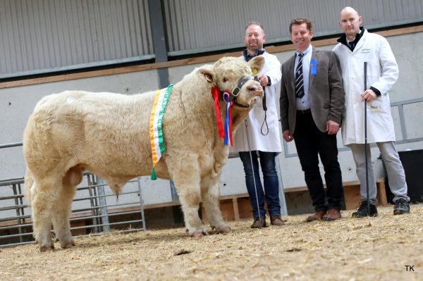 Clenagh2 Urban sold for €5,200 and was exhibited by Barry Quinn from Co. Clare