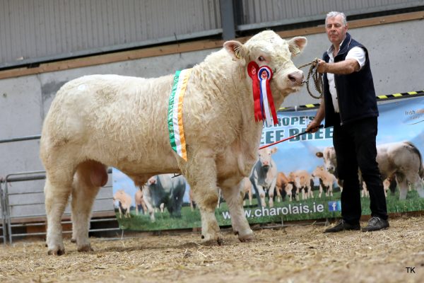 Liscally Uranium sold for €6,200