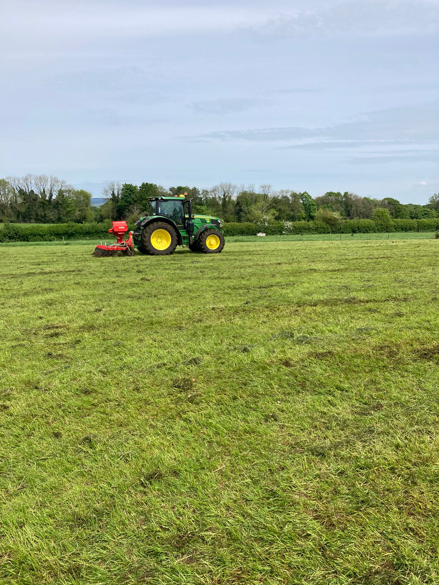 White clover being oversown into a dairy herd grazing paddock on May 9, 2024. Source: CAFRE