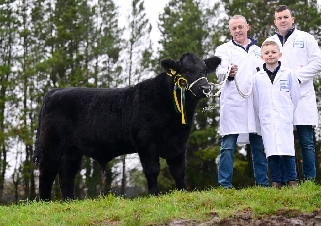 The Dixon family, Moneyreagh, with their reserve bull calf champion Bluebell Bank Black Bentley A612. Source: Alfie Shaw, Agri-Images