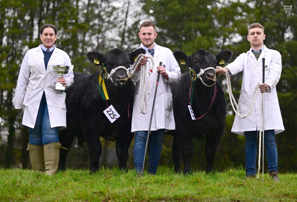 Emma Hunter, Callum Innes and James Beggs, exhibited the reserve pair of calves owned by Bill and James Porter. Source: Alfie Shaw, Agri-Images