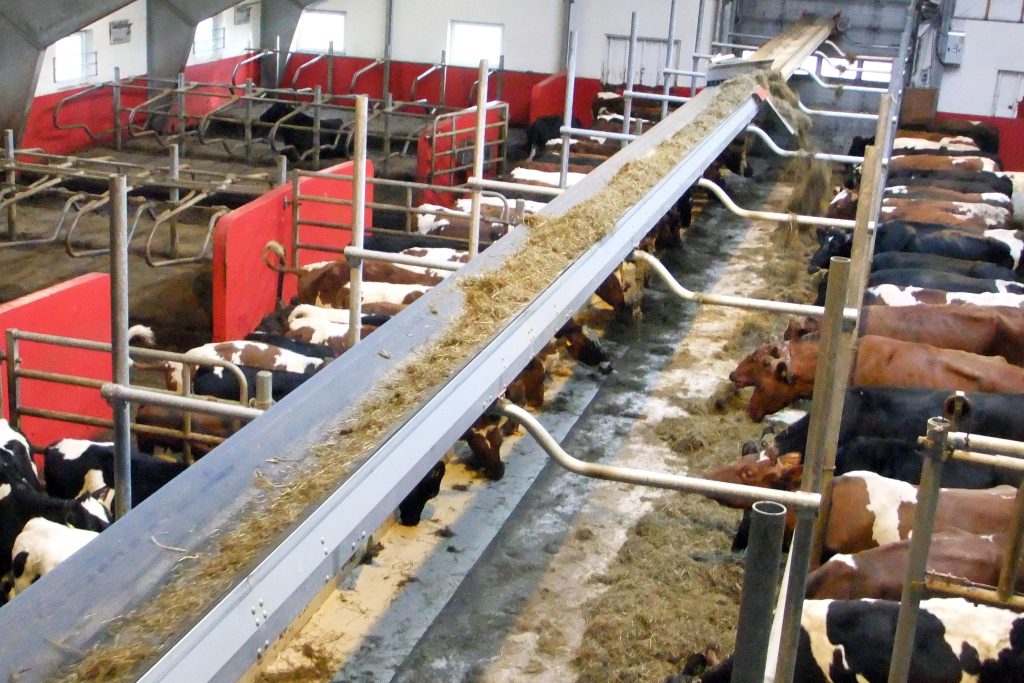 Forage conveyors and automatic feeding systems are the mainstay of the other Kverneland company