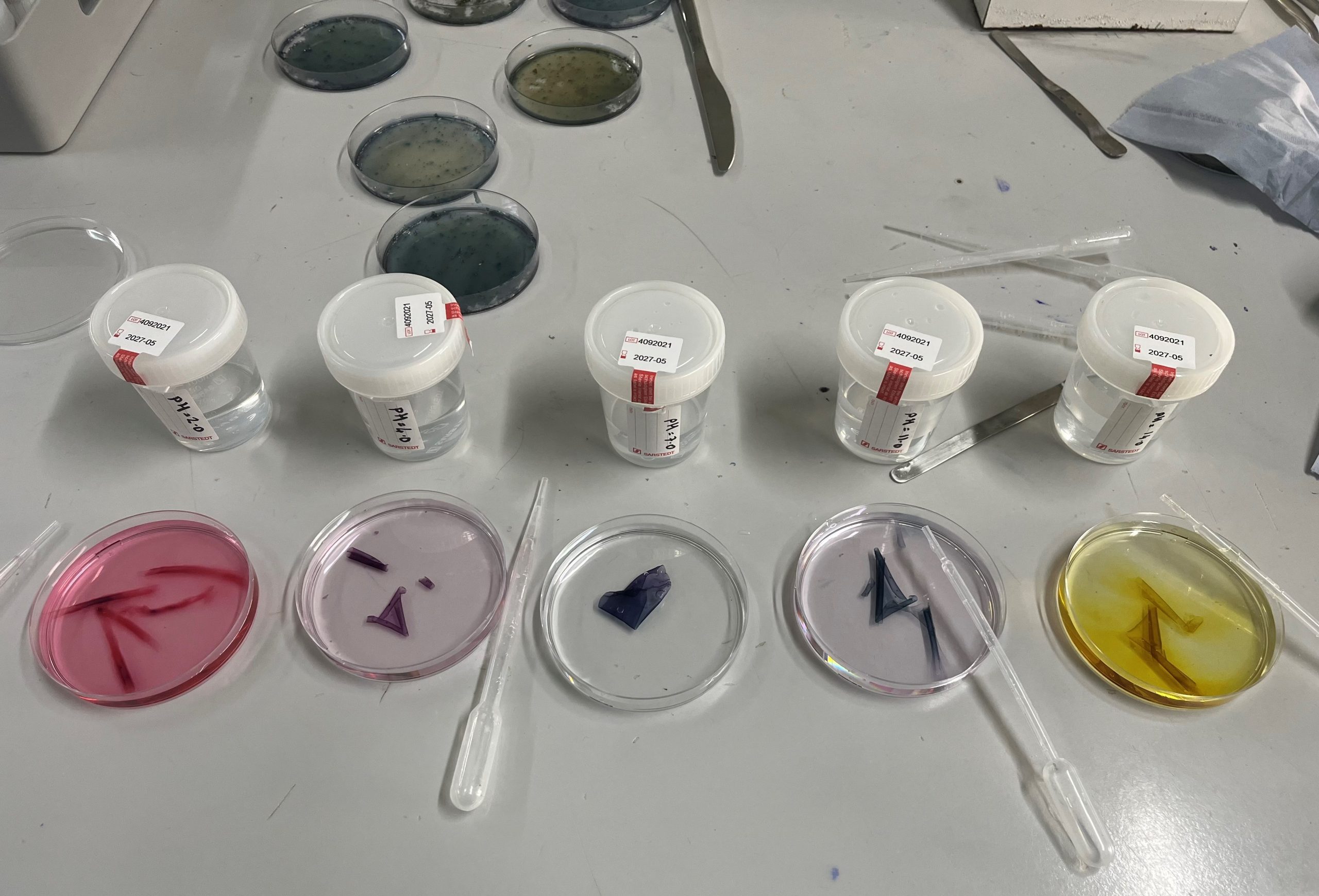 Red cabbage as a pH indicator has a broad colour range, changing from a pink or red colour at pH1 to yellow at pH14