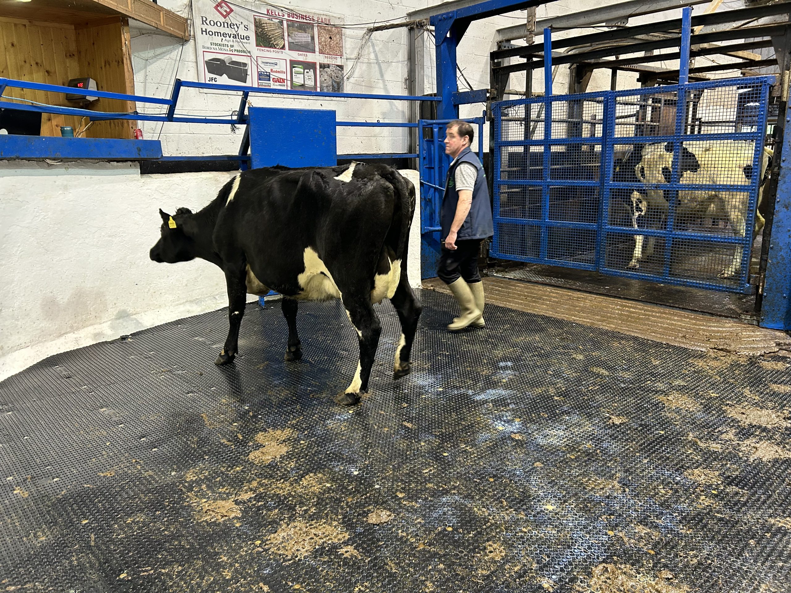 Lot 39: JEX, with EBI of €211 due in April sold for €1,240