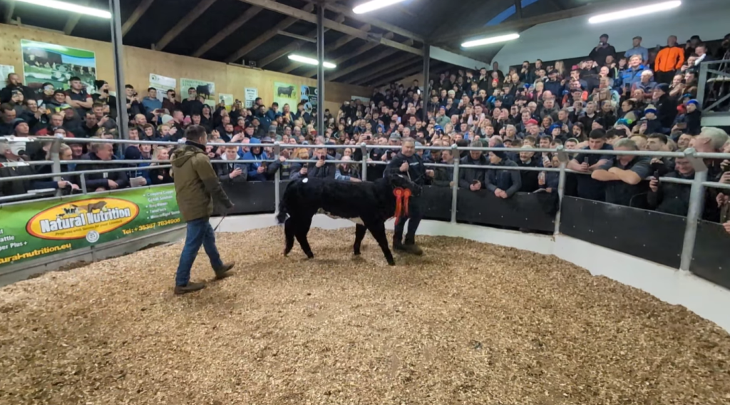 Source: SwarberPhotography Photos