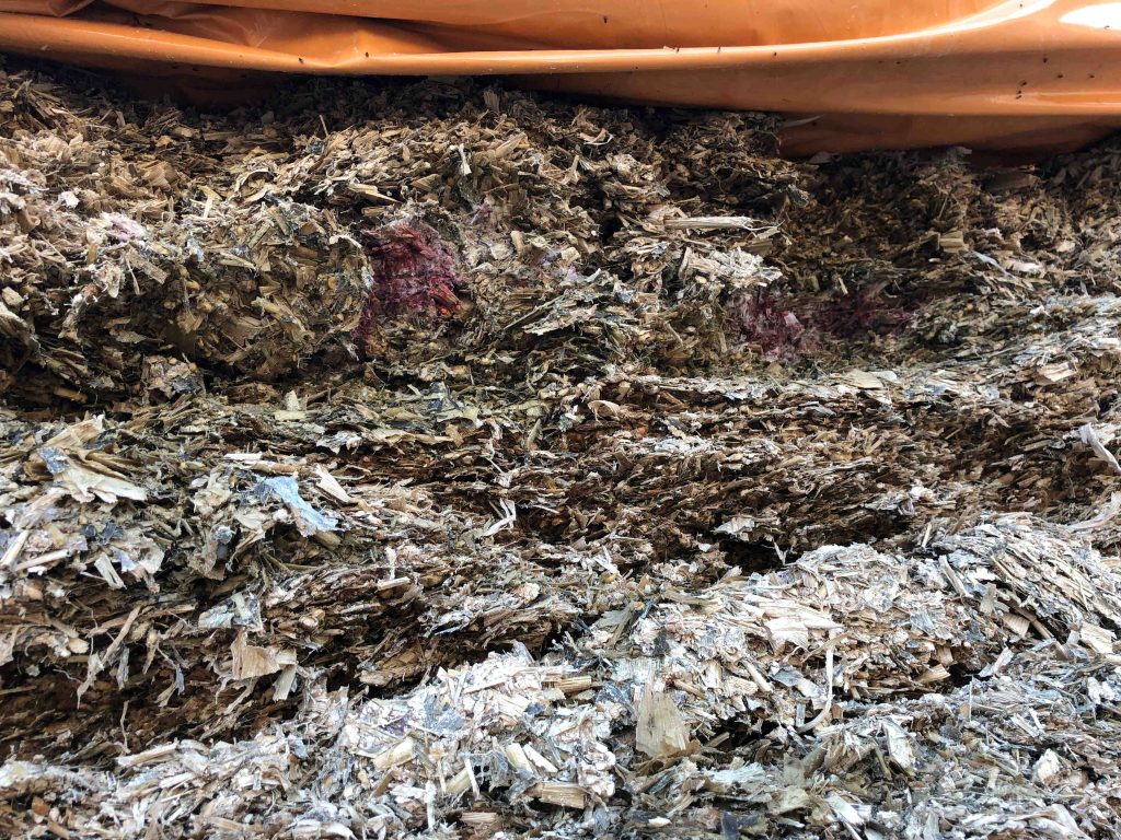 Spots of fusarium mould in maize silage