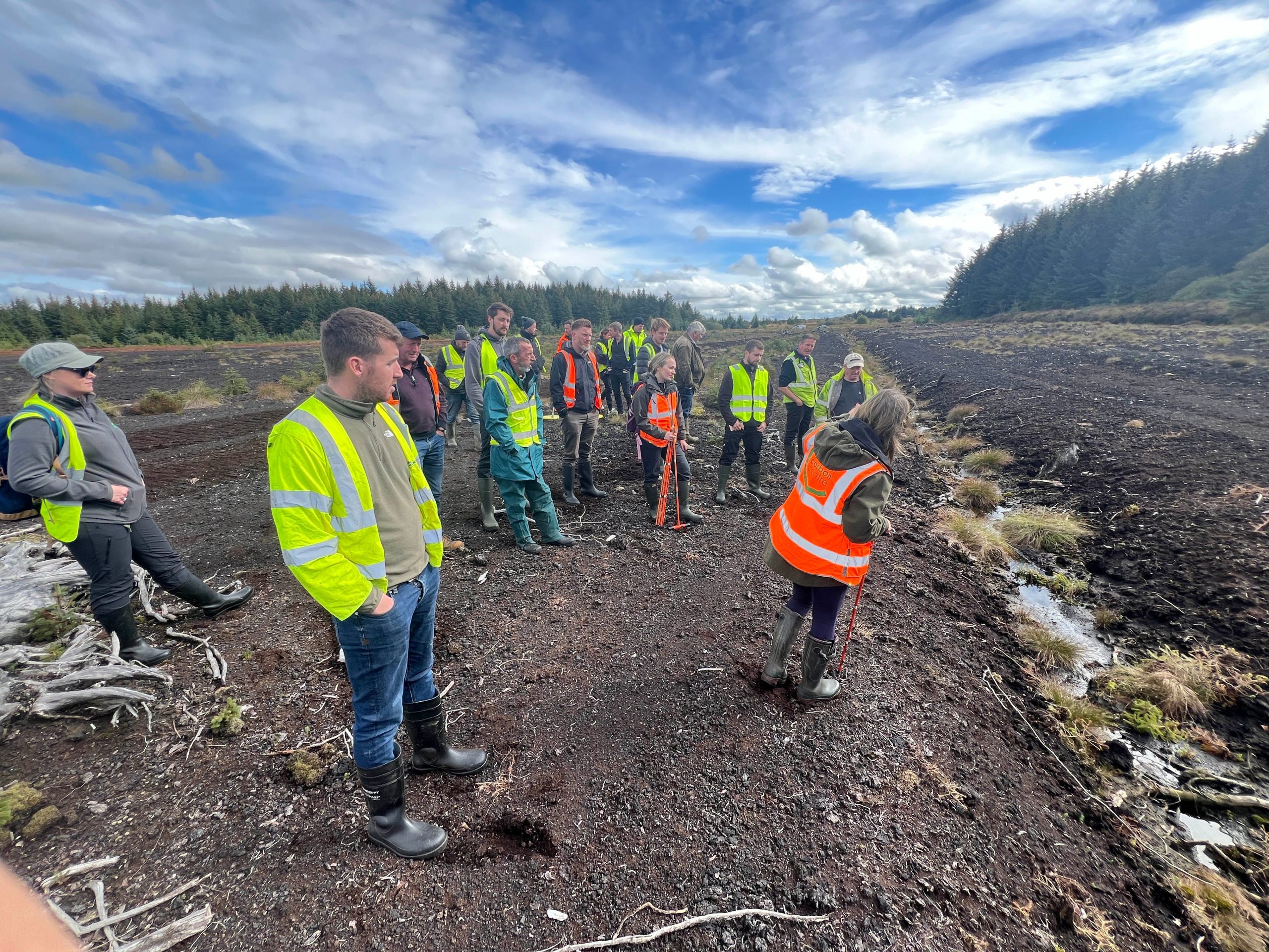 Peatland restoration. Image Source: Ulster Wildlife