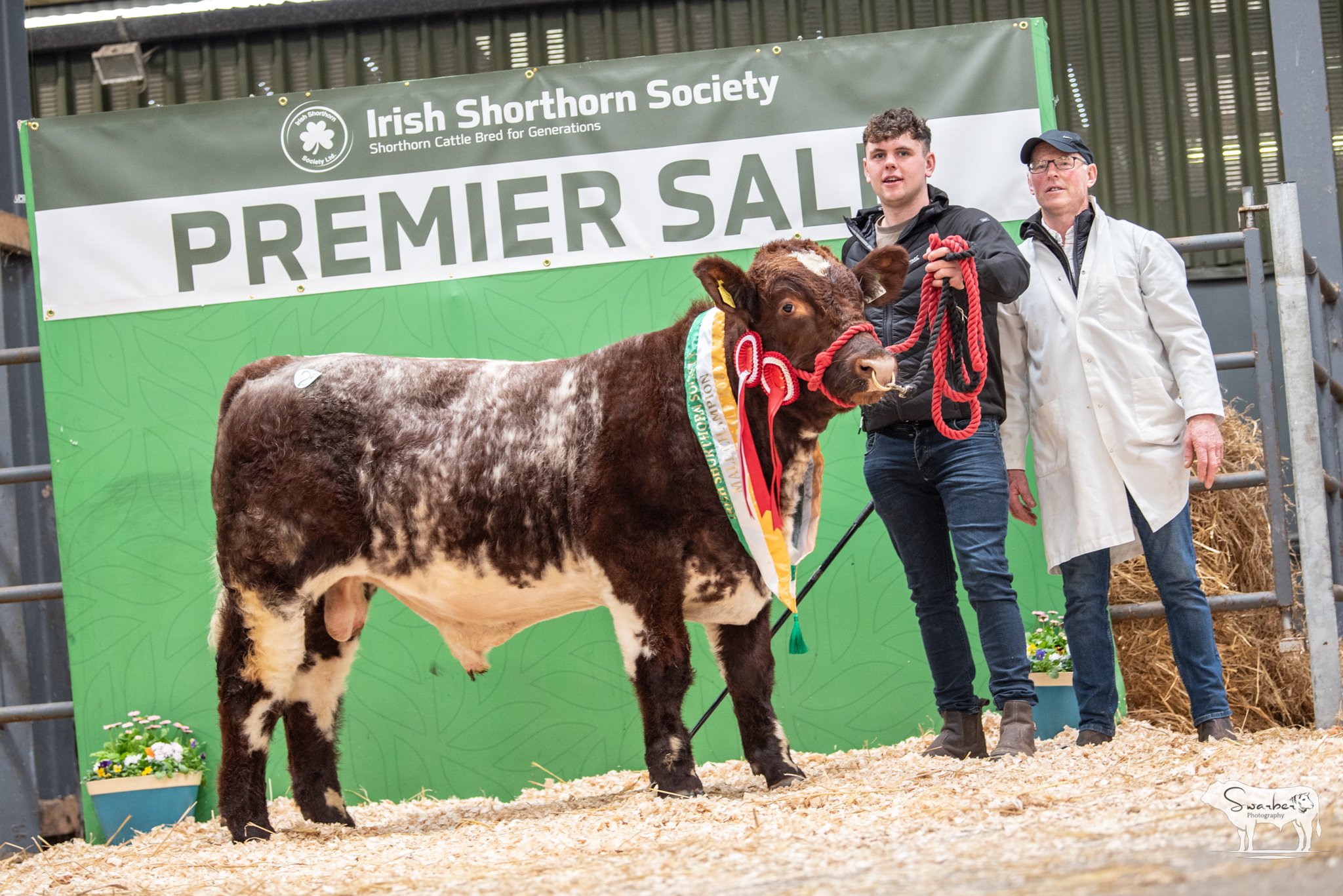 Dekeana Gunslinger sold for €6,300