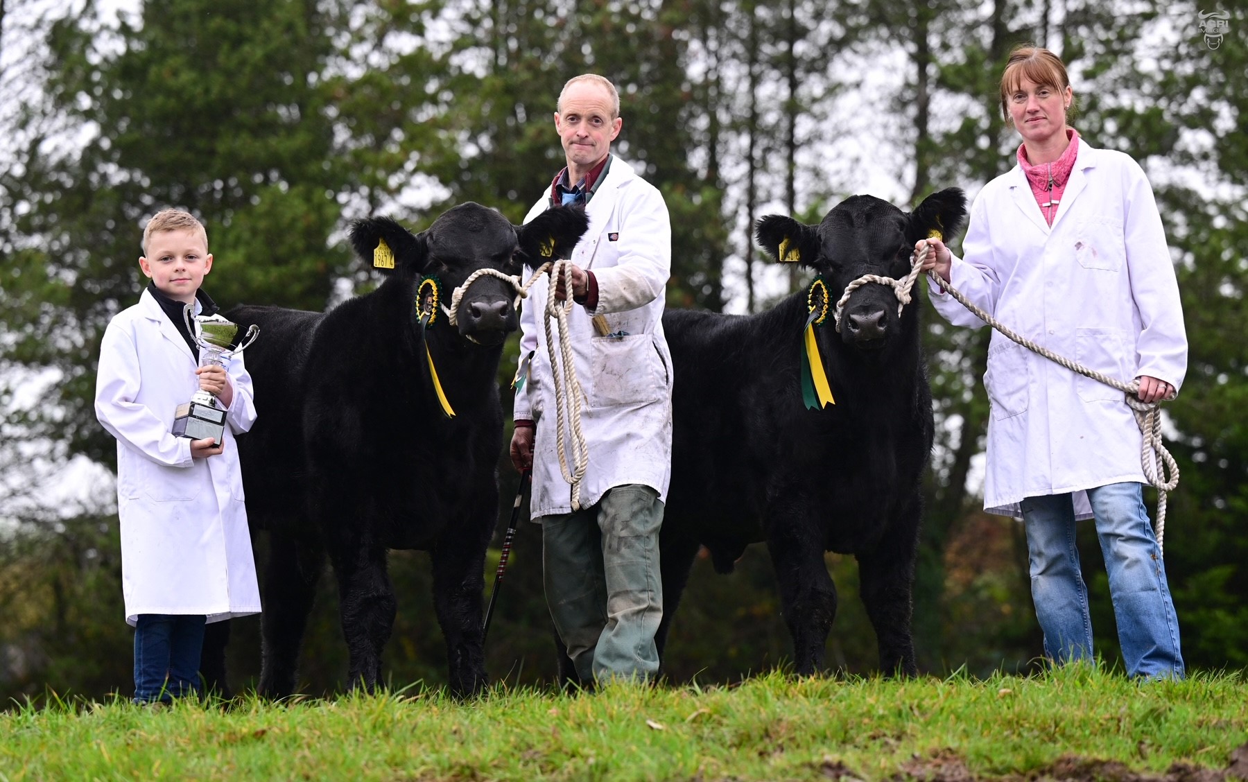 Alfie Dixon presents the trophy for the champion pair of calves to Moses and Heather Irwin, Fintona. Source: Alfie Shaw, Agri-Images