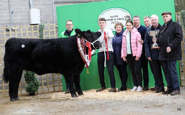 Senior Female Champion Coneyisland Uptown Girl sold €10,200. Regan family, judge Soran Riis Vester, Anthony Flaherty, Connolly Redmills, Sean Kilkenny IACS