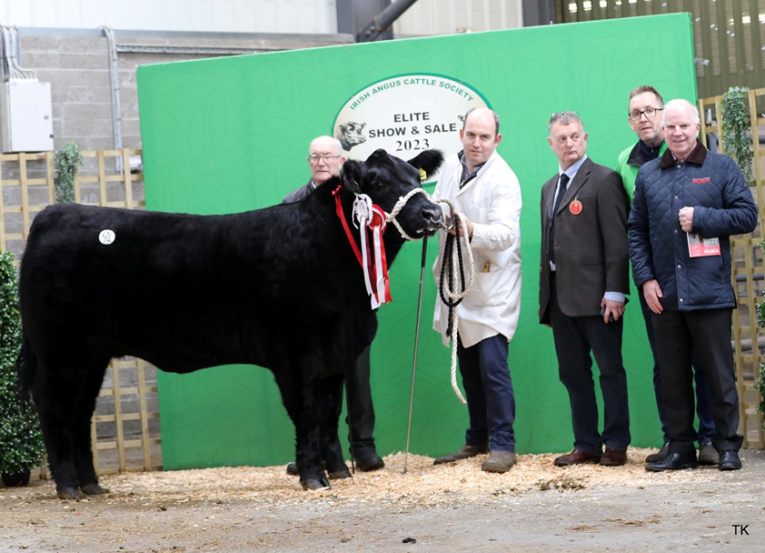 Reserve Senior Female Champion Mough Verbana sold for €9,600. Brian and Liam McSweeney, judge Soran Riis Vester, Anthony Flaherty, Connolly Redmills, Sean Kilkenny IACS