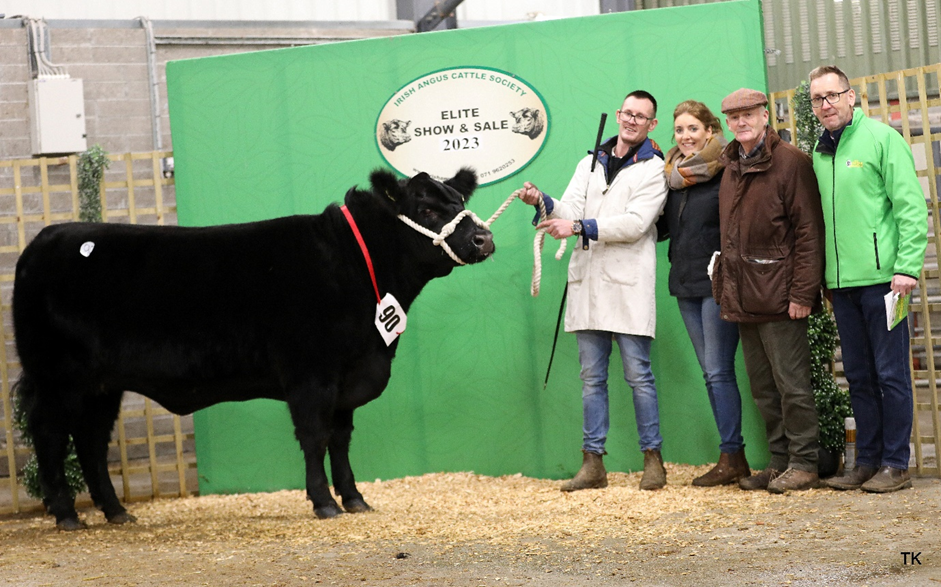 Loughglass Venus sold for €9,400. Breeders Noel and Lisa Dowd, Skehard, Creggs, Co. Galway