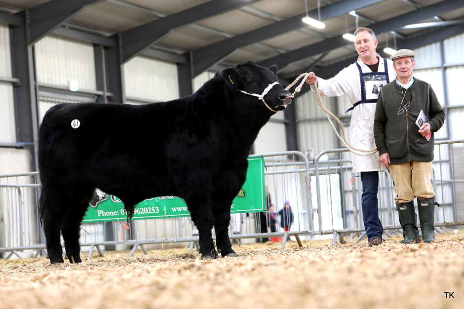 Reserve Junior Male Champion, Drumcarbin Vierra sold for €8,400. Shane McKiernan with purchaser Martin Dibbs