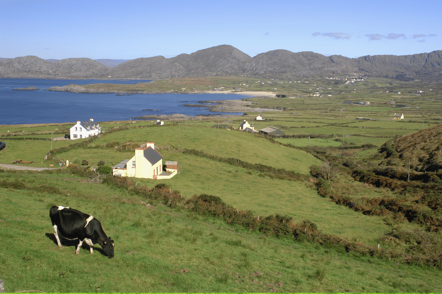 Farming families can also choose to partner with an AD developer to sell or let land
